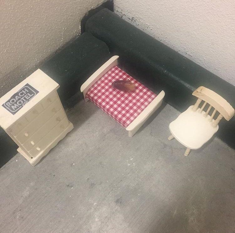 This stairwell had furniture for roaches r/mildlyinteresting