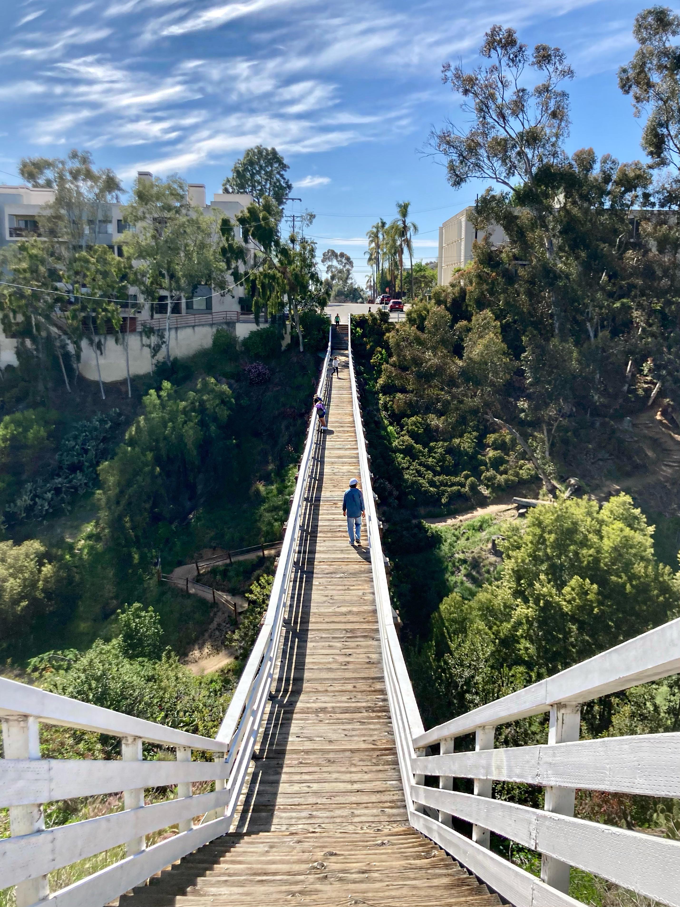 Today at Quince Street Bridge r/sandiego