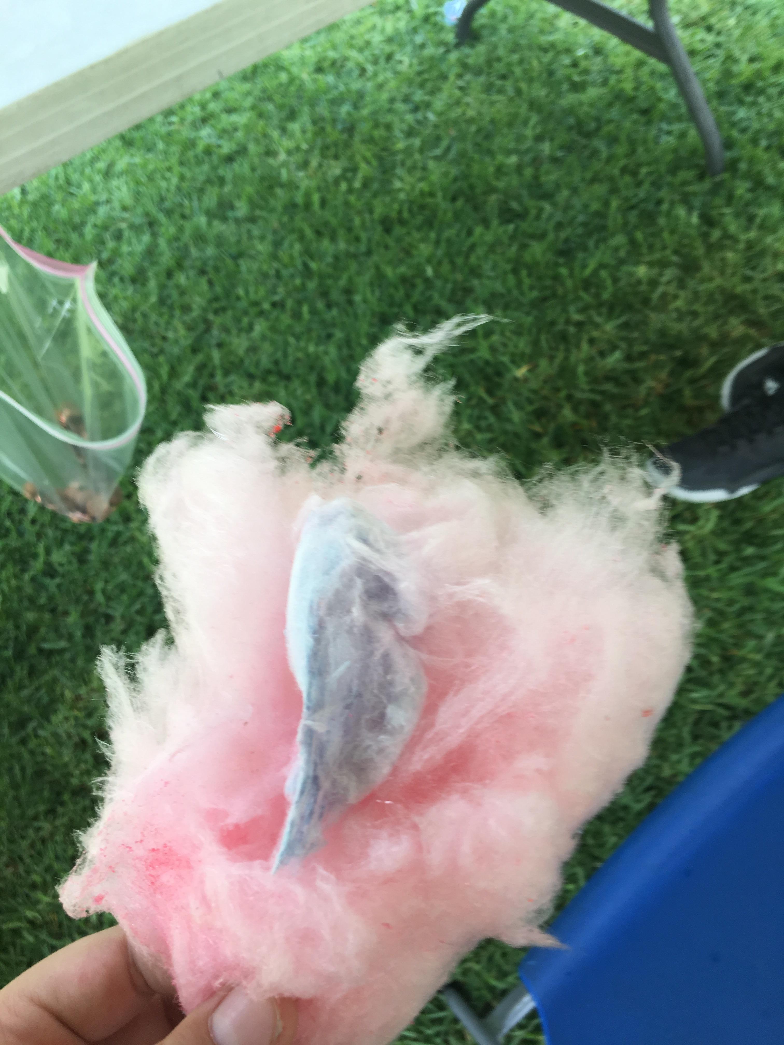 My cotton candy had a baby cotton candy r/mildlyinteresting