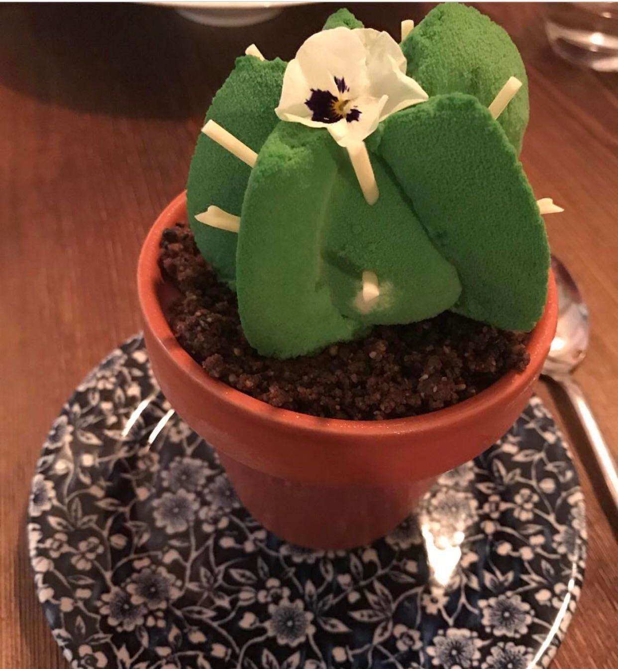 Christmas Cactus Food [Homemade] Cactus dessert, Toasted nut "dirt" over raspberry sorbet