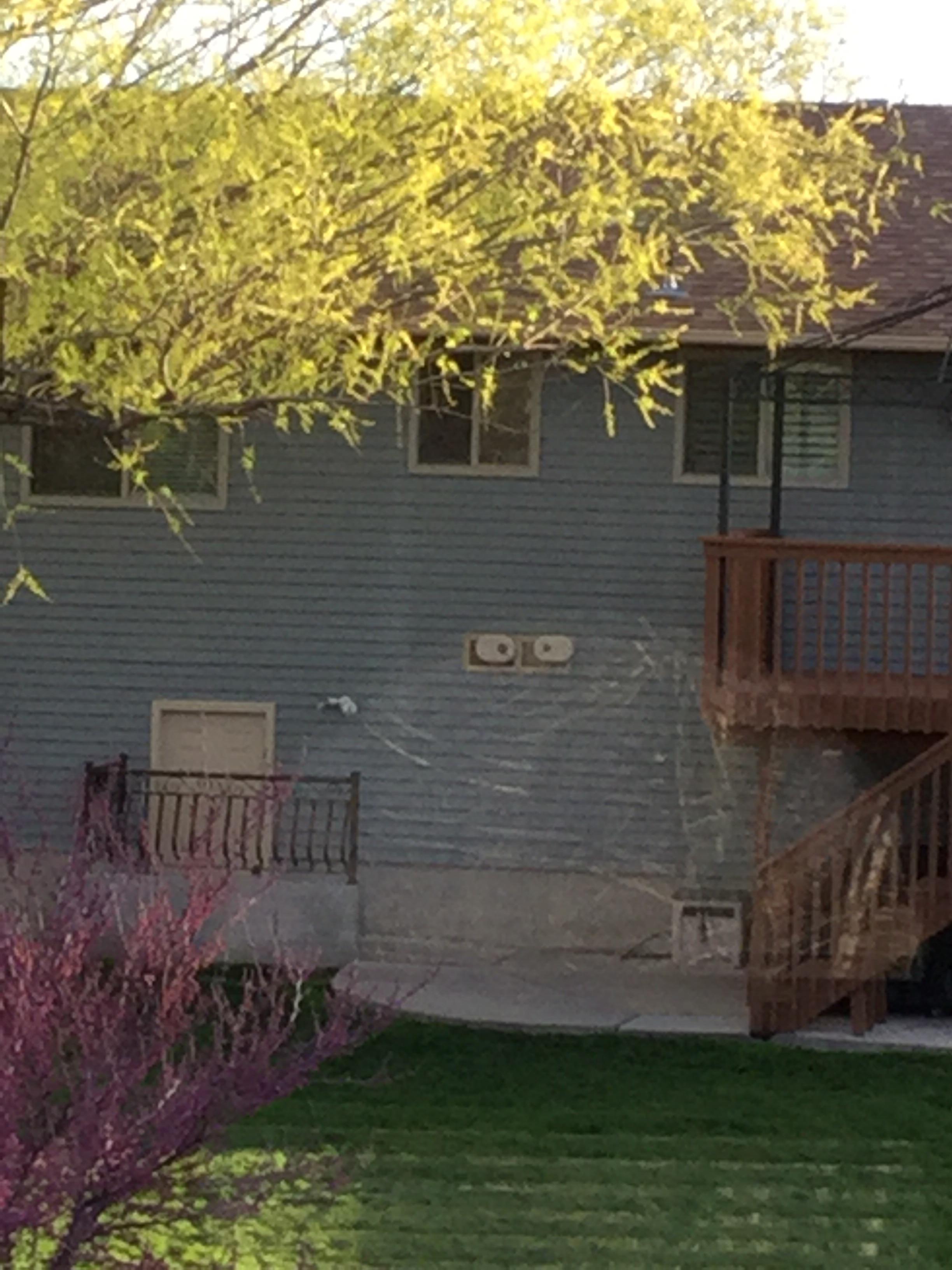What are these white things in my neighbors windows? r/whatisthisthing