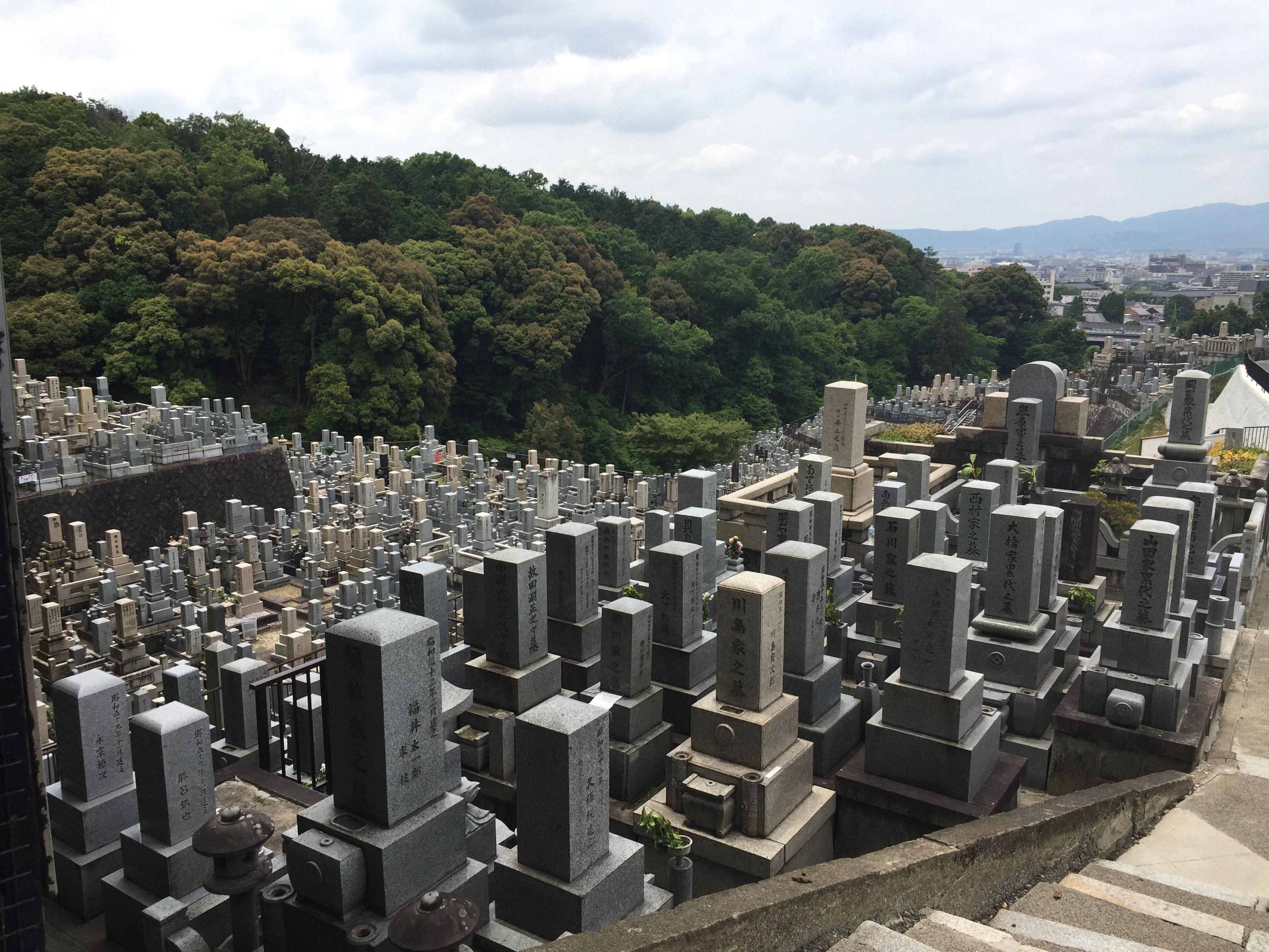 A Buddhist style cemetery in Japan r/pics