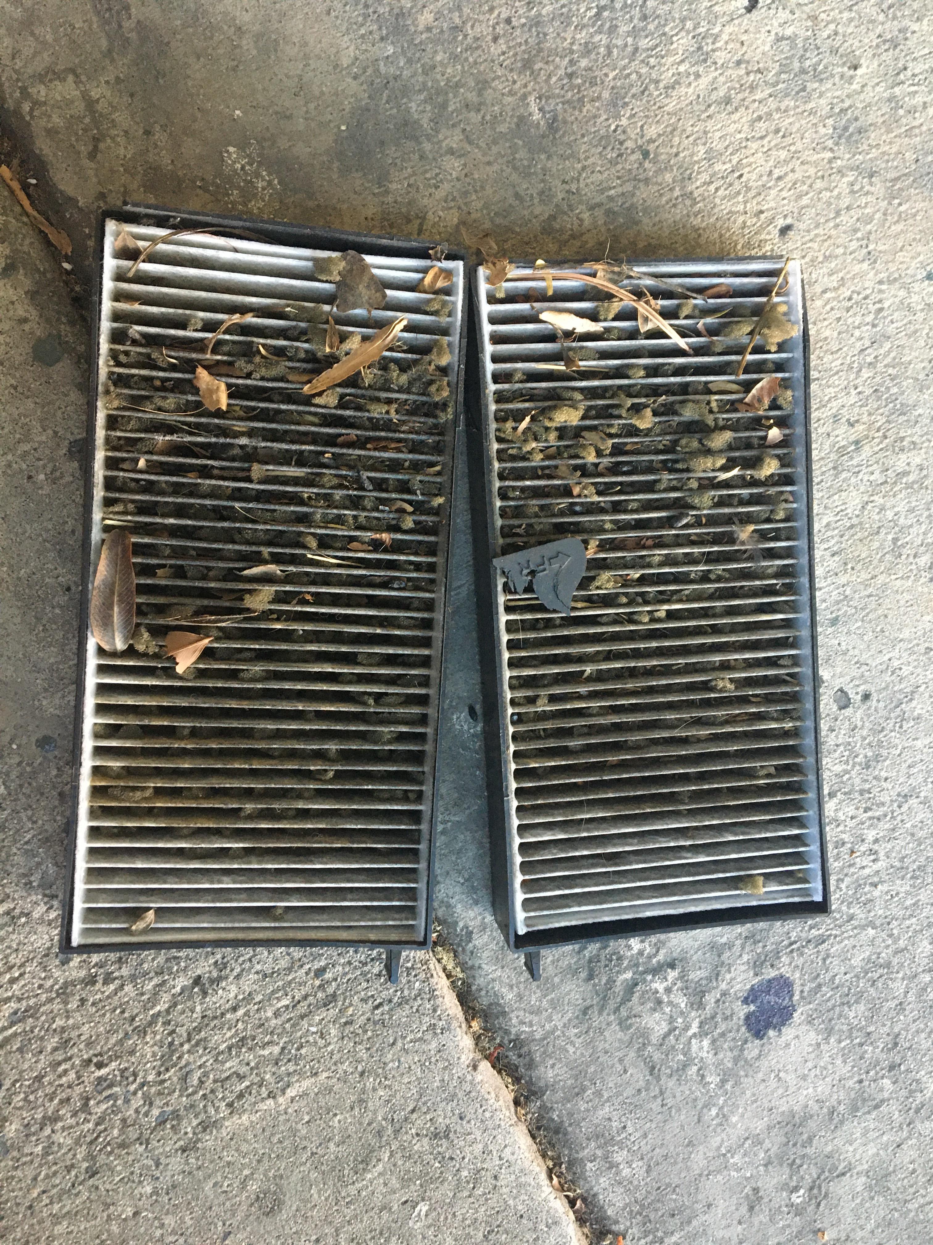When a rat makes its home on the cabin air filter