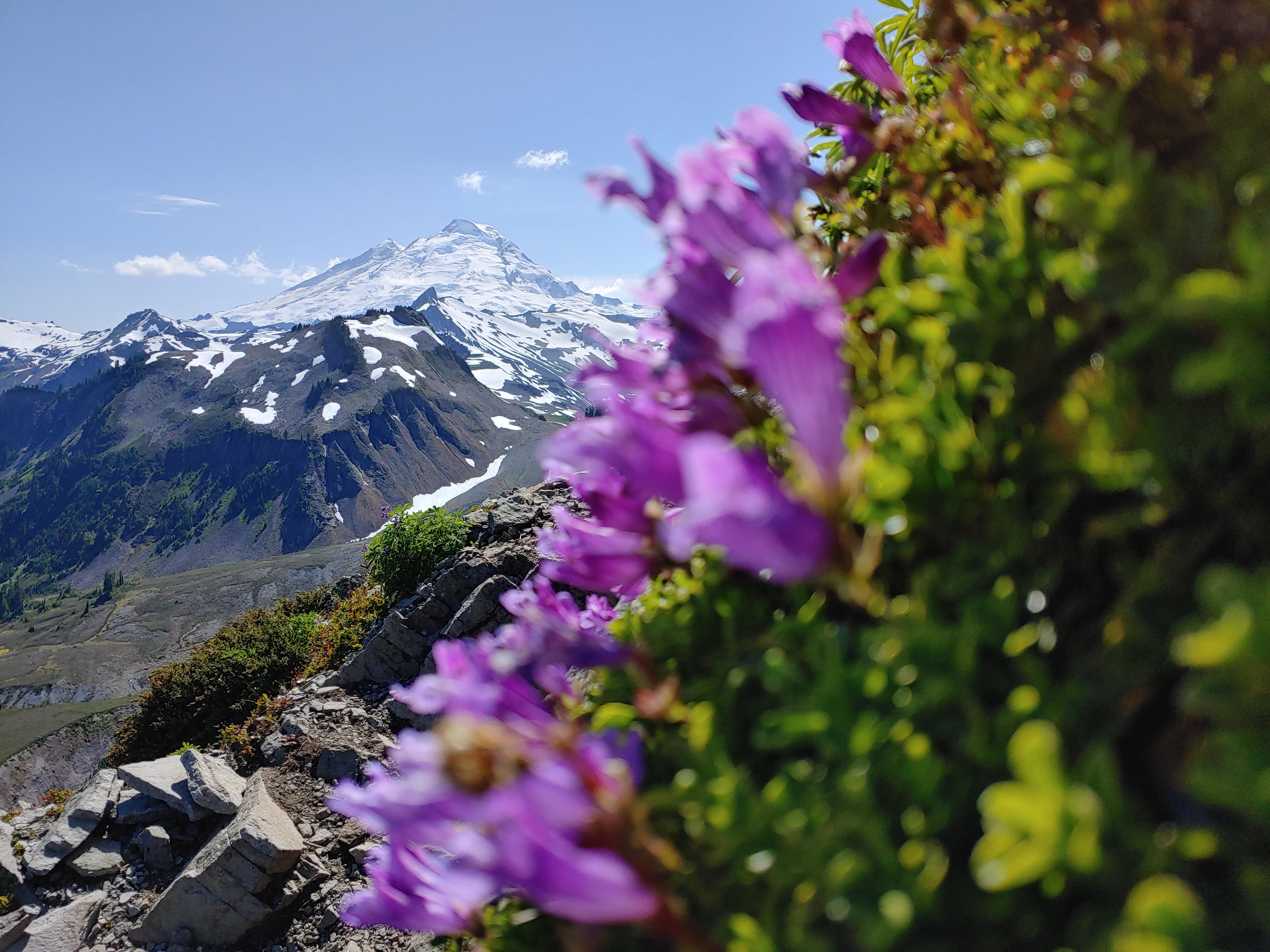 Mt Baker from tabletop trail r/Washington