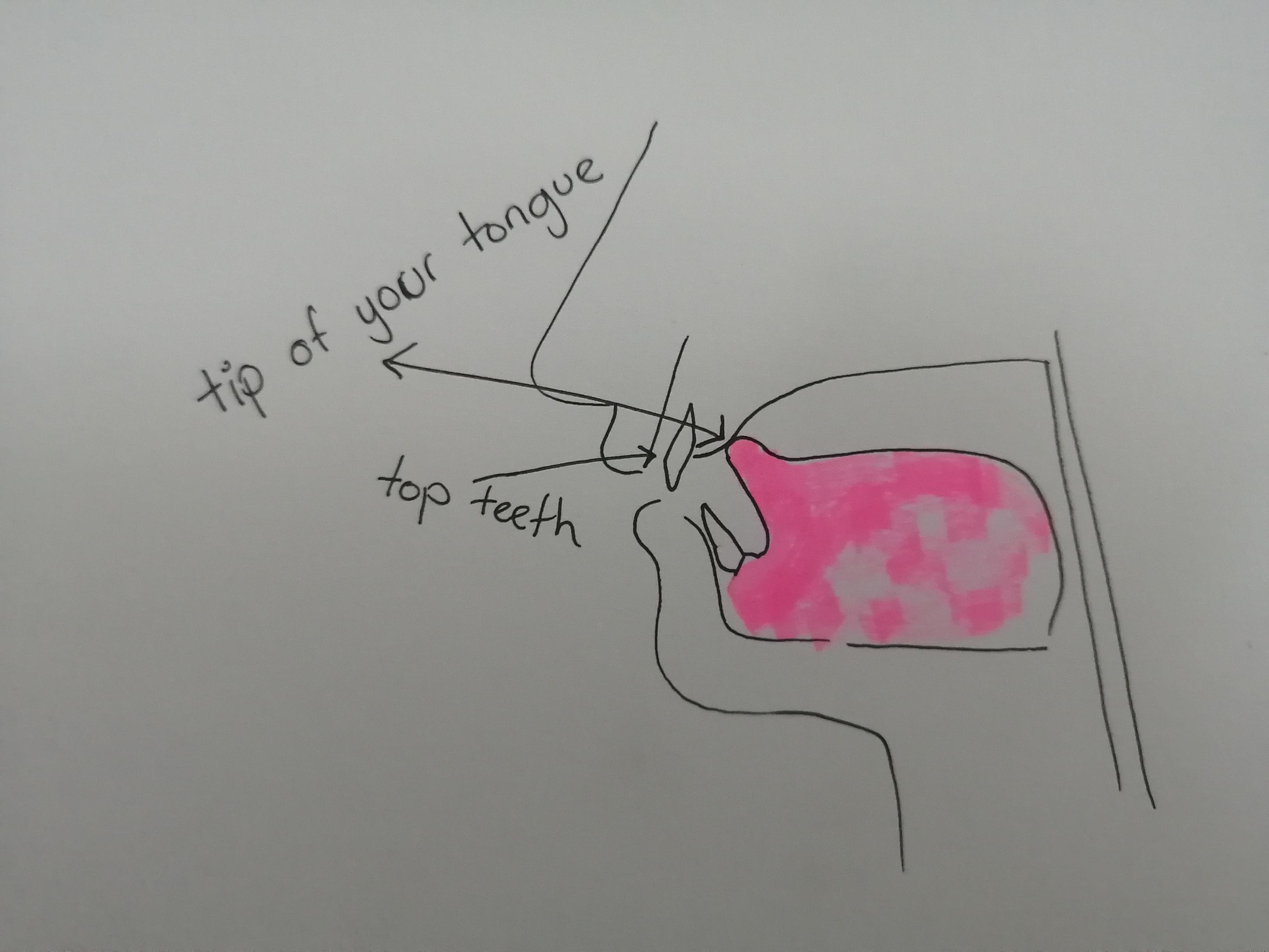 To Pronounce The Spanish "Rr" Put The Tip Of Your Tongue Behind You Top Teeth. Make A Small Effort To Leave It There As You Push Air Out Of Your Mouth And