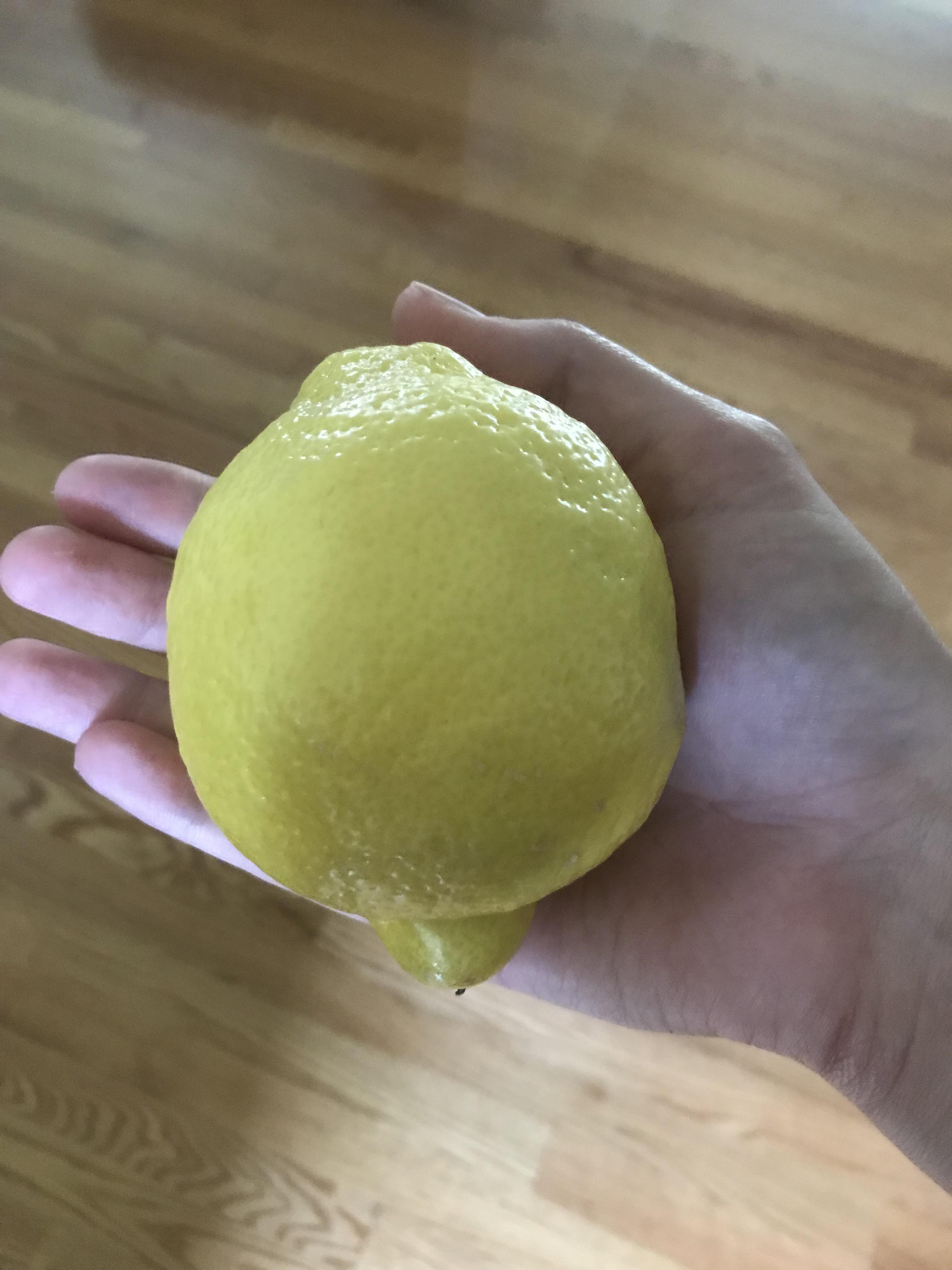 The Lemons at Aldi r/AbsoluteUnits