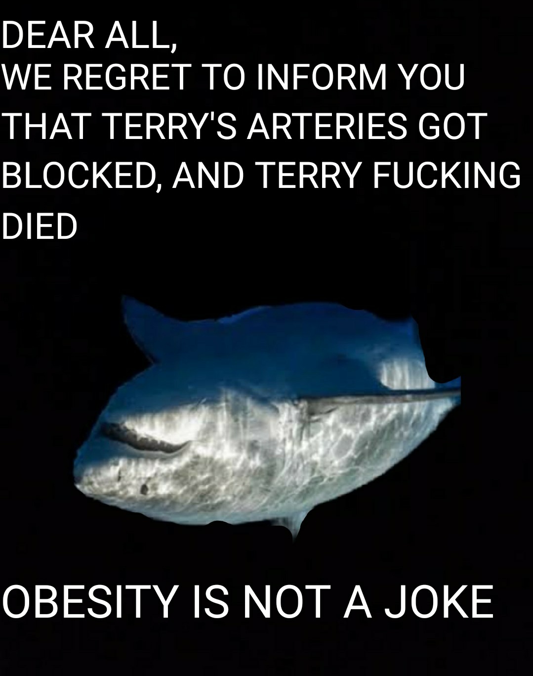 RIP Terry the Fat Shark ( dankmemes