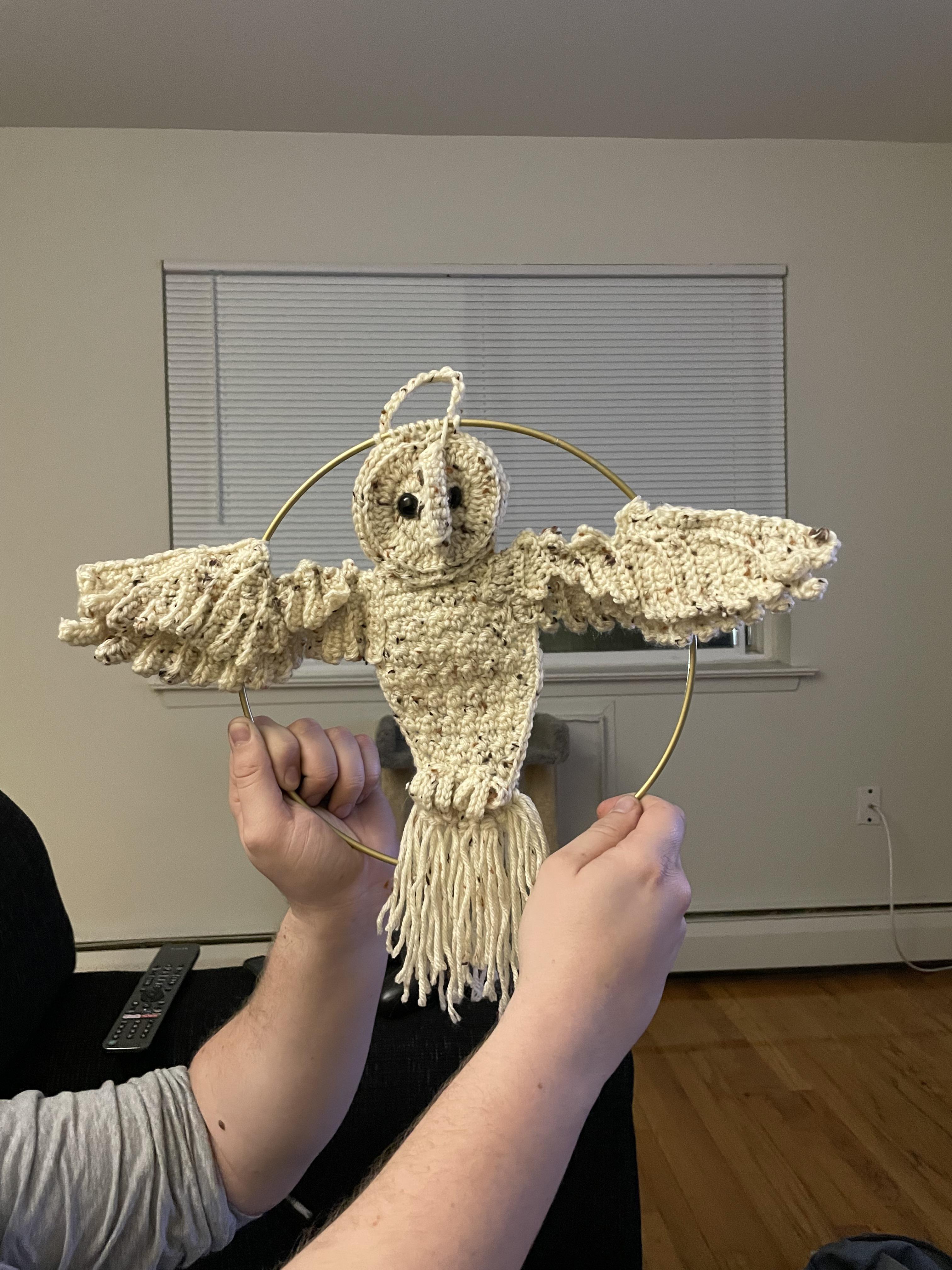 Made SheaCrochet’s barn owl wall hanging! r/crochet