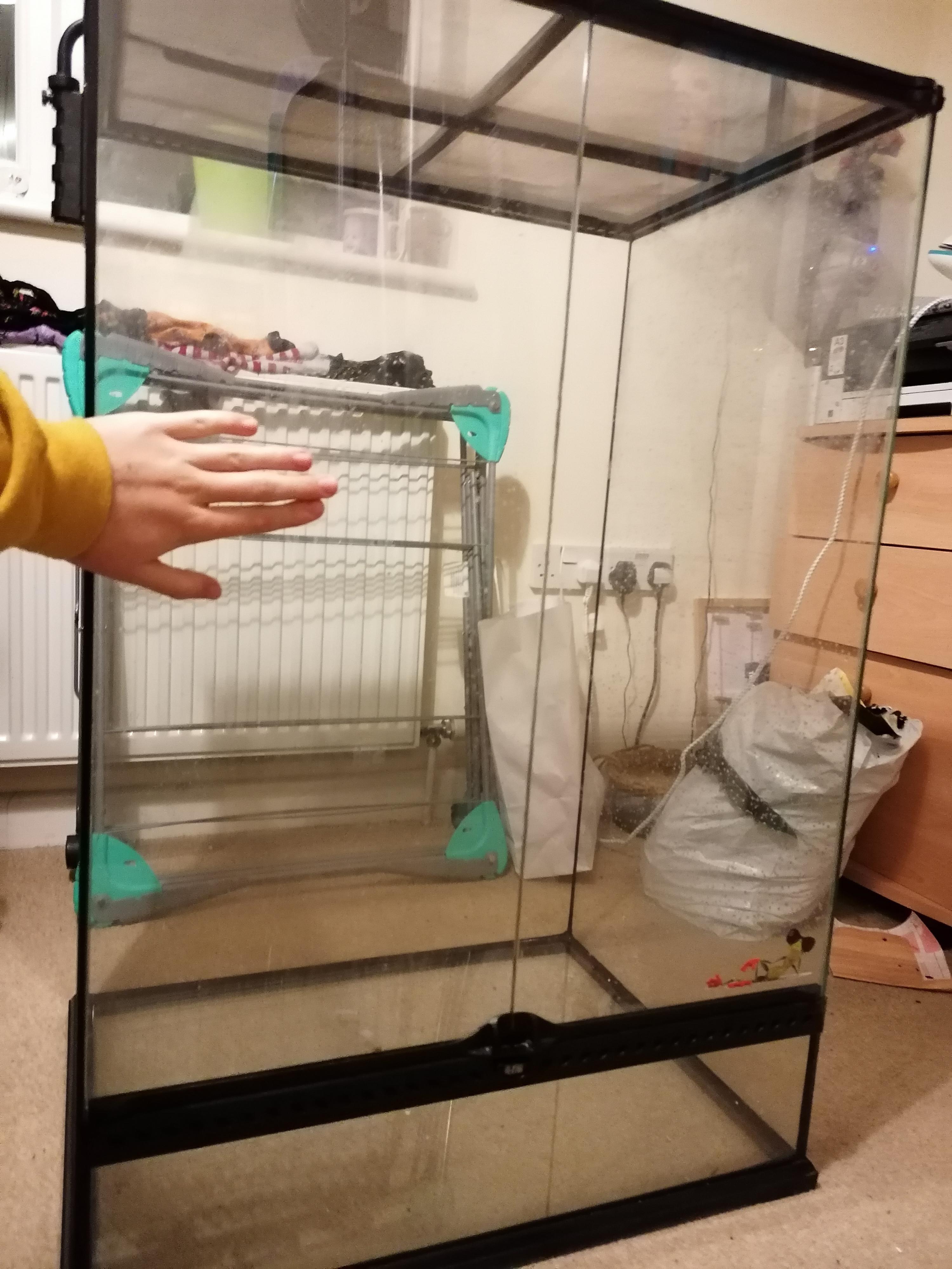 Just brought home a secondhand exo terra mediumxtall that I purchased