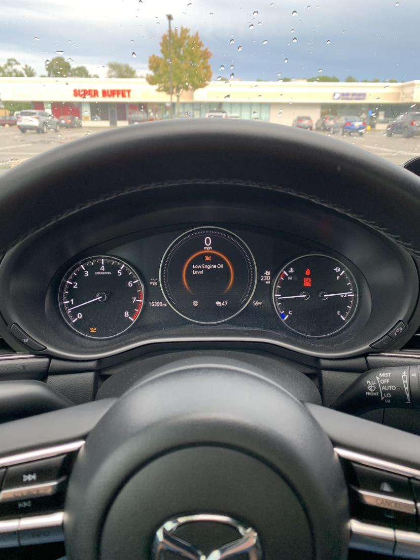 Low engine oil level? I don’t actually have low oil, I’ve checked every