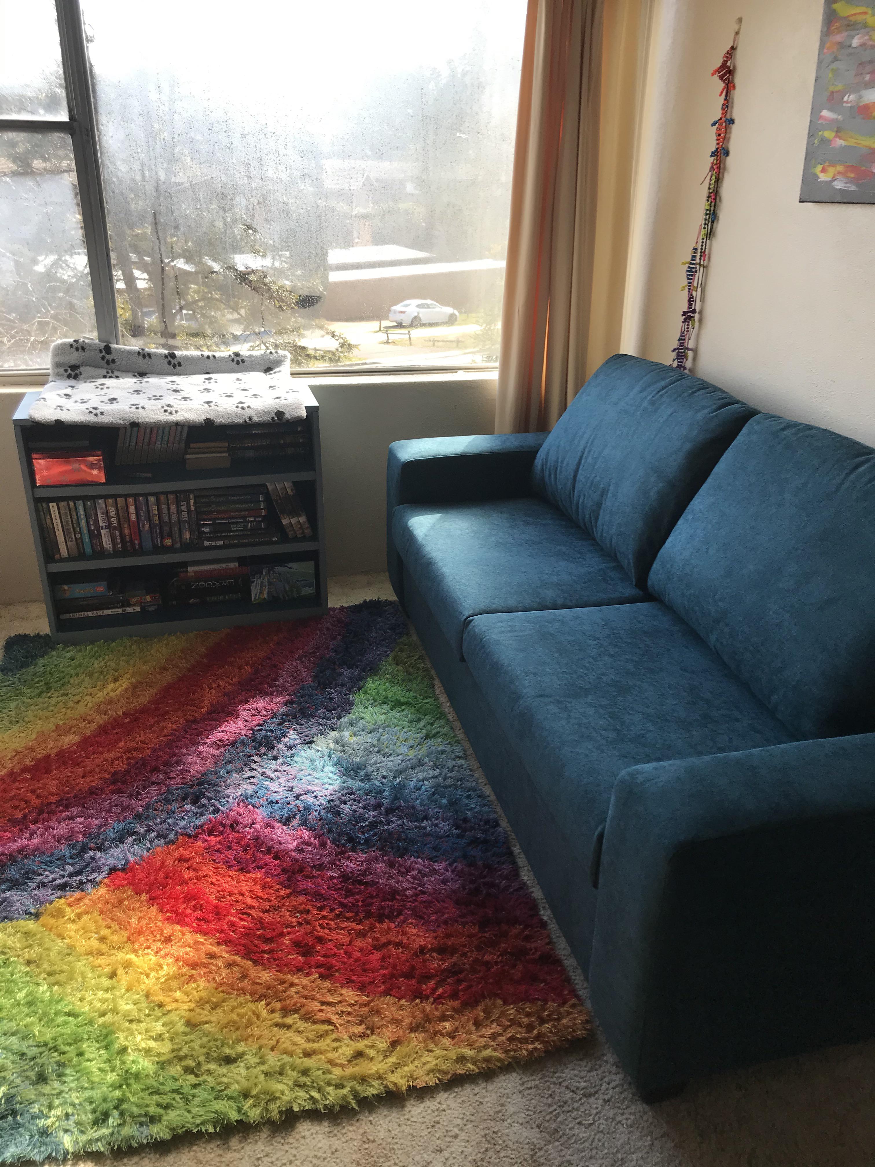 My sofa came today. It’s not rainbow but it matches my rainbow rug. r