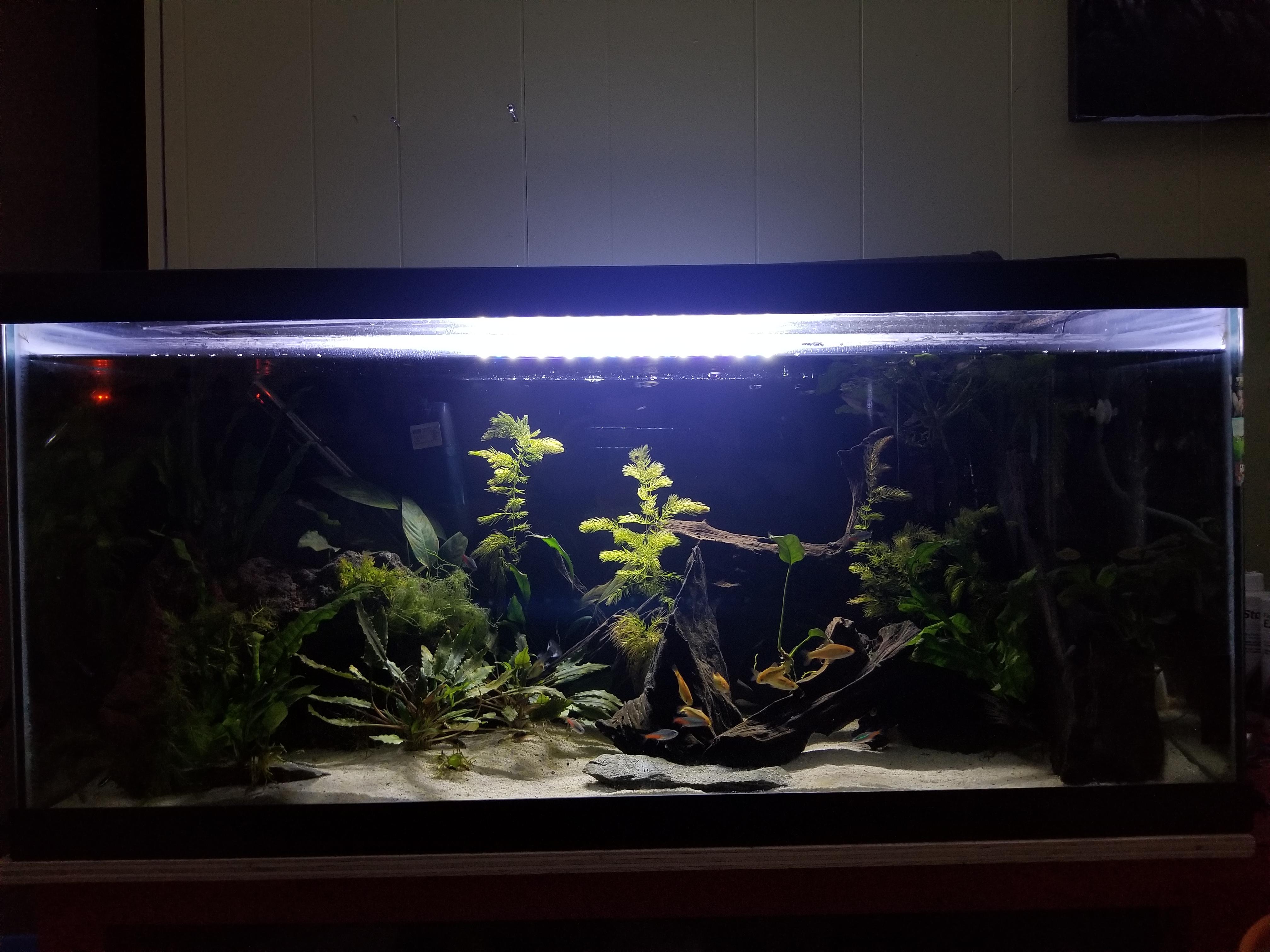 Fertilizers, details in the comments r/Aquariums