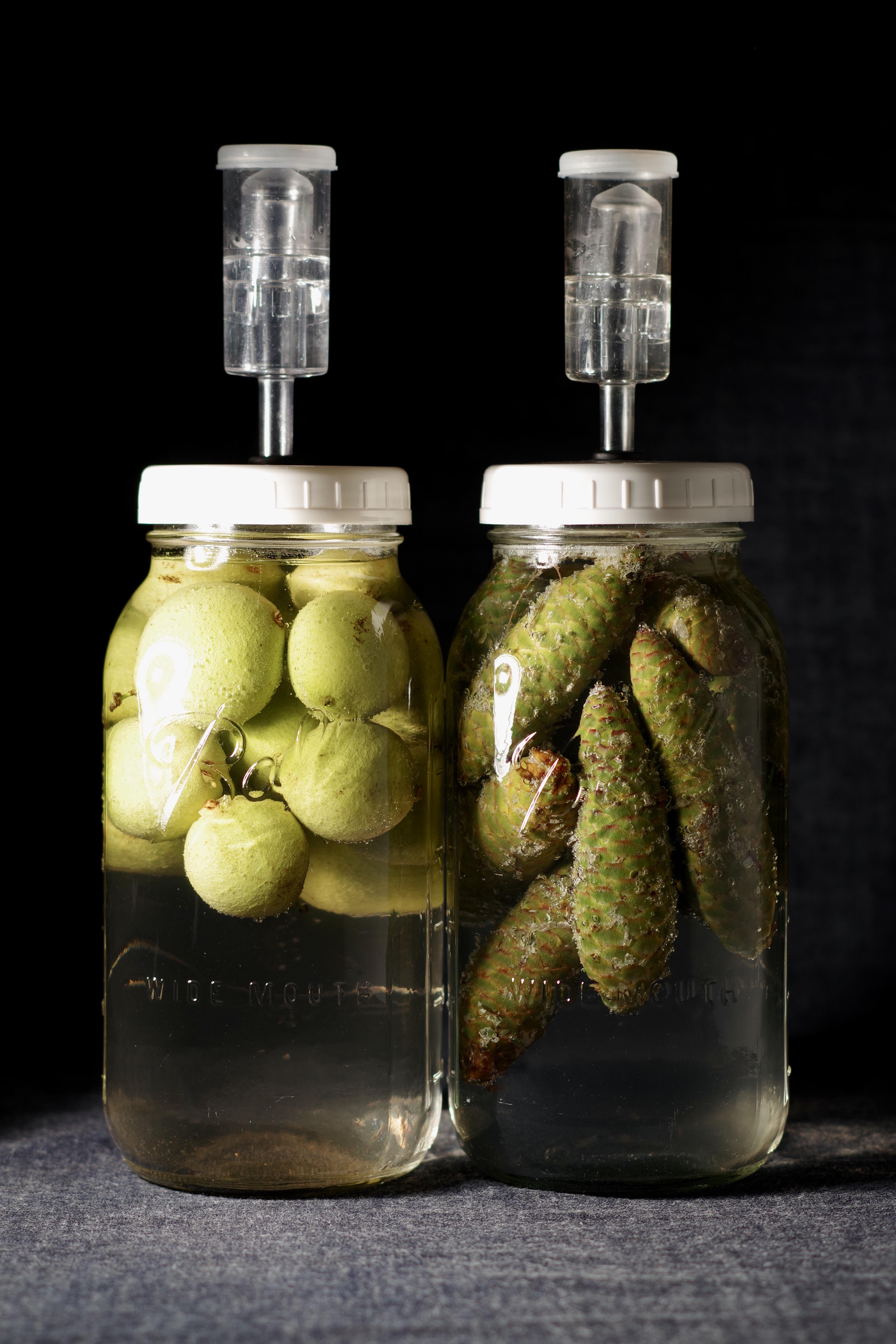 Wild Yeast Starters Made Using Green Black Walnuts and Unripe Spruce