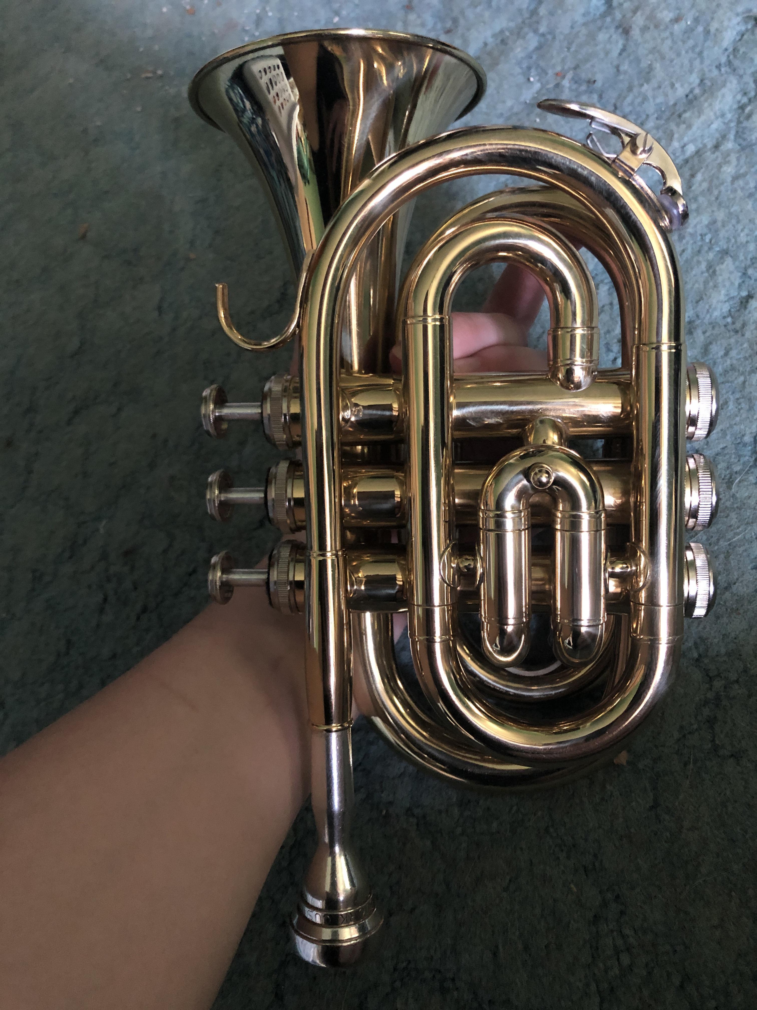 Got a mini trumpet! It was only 90 (42 off original price) and the