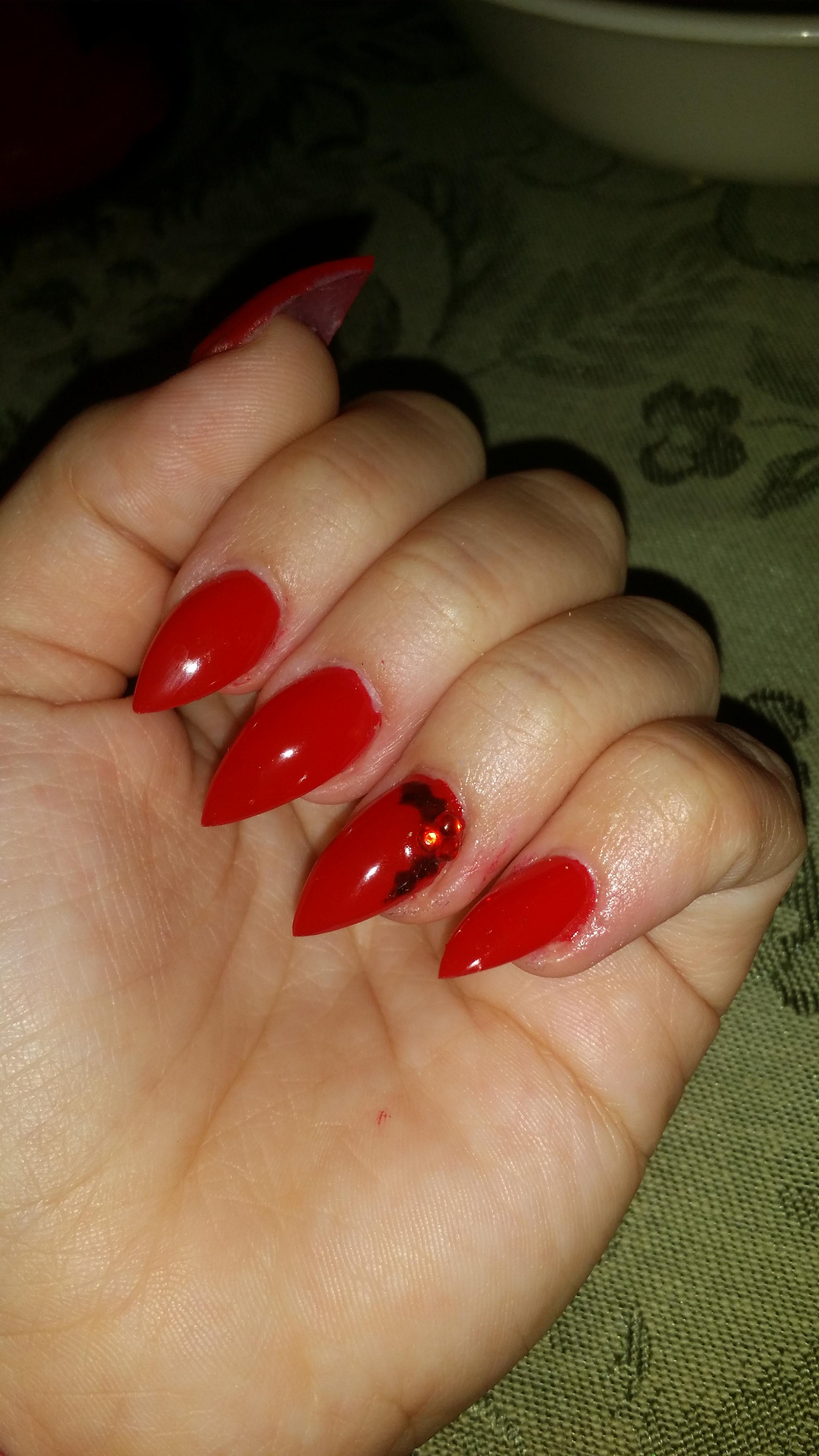 Christmas Holly r/Nails