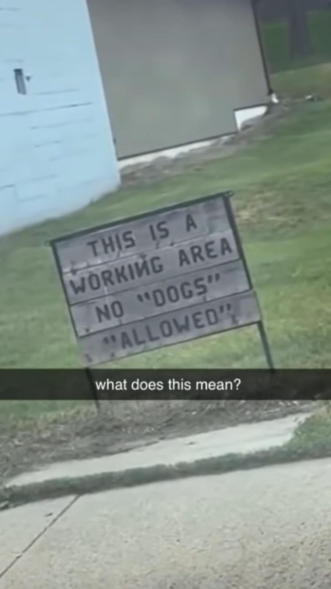 is it a euphemism? r/suspiciousquotes