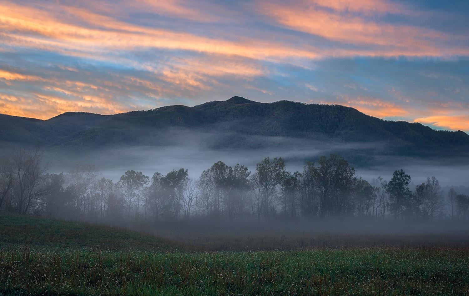 A foggy morning in Cades Cove Great Smoky Mountains National Park [OC