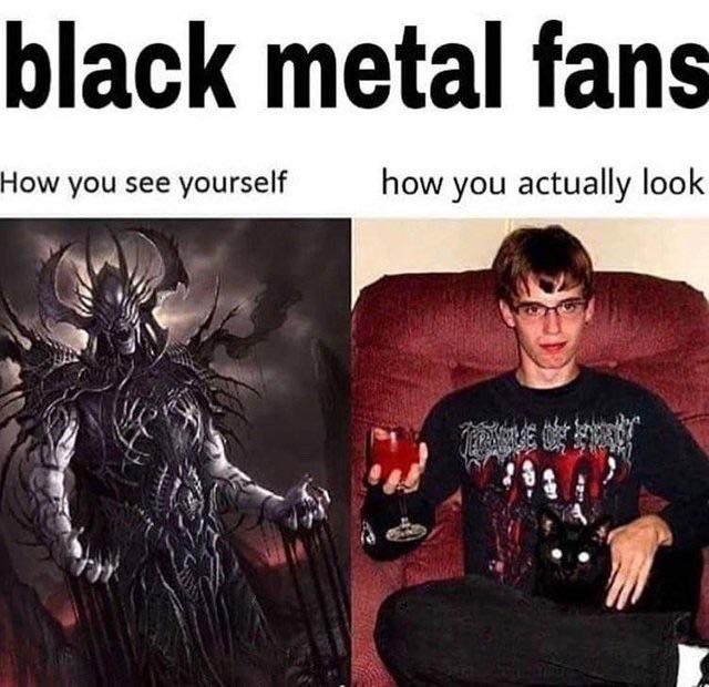 This one goes out to all those black metal elitists r/MetalMemes