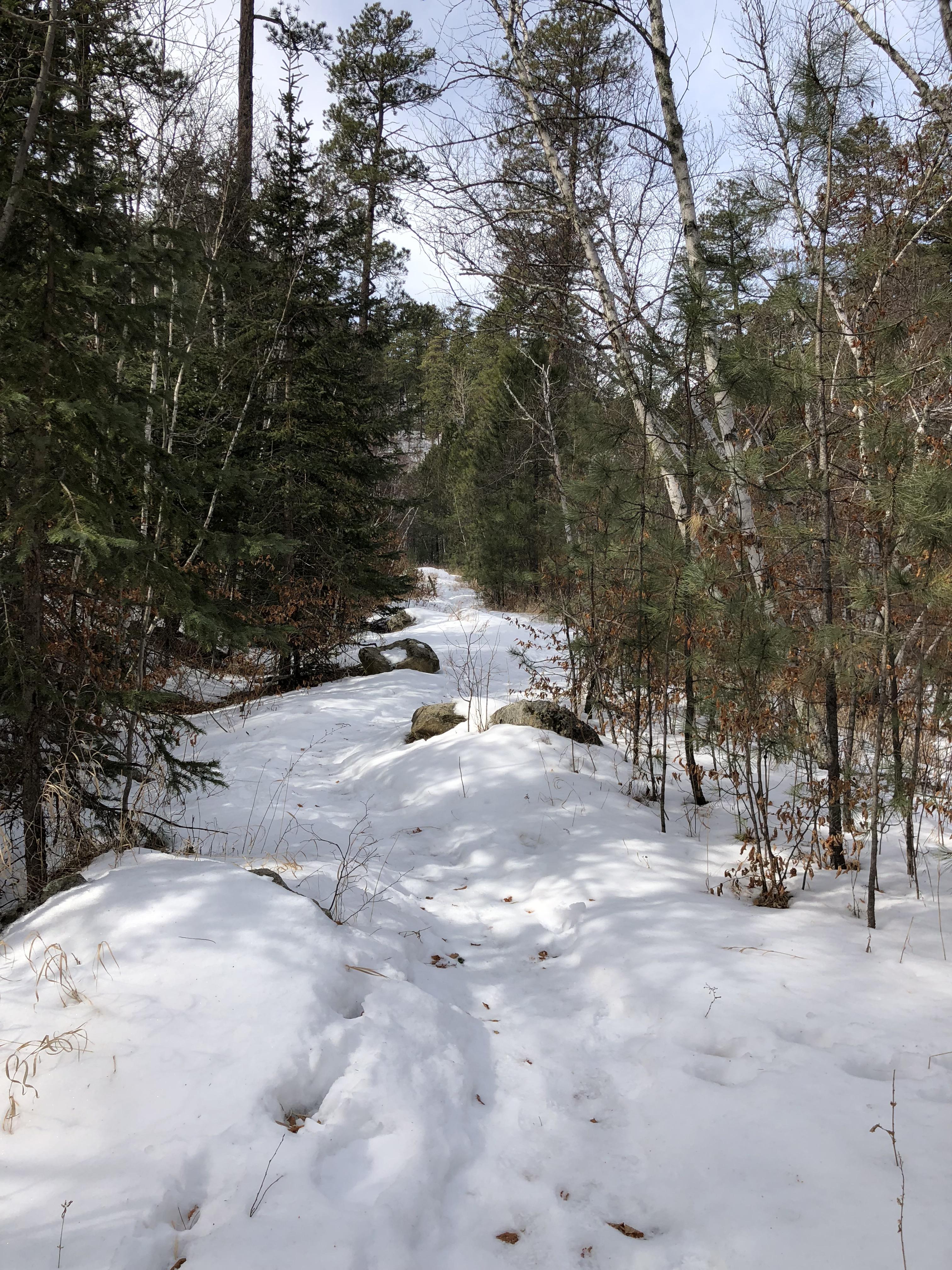 The very easy and still beautiful Iron Creek Trail 15 South Dakota r