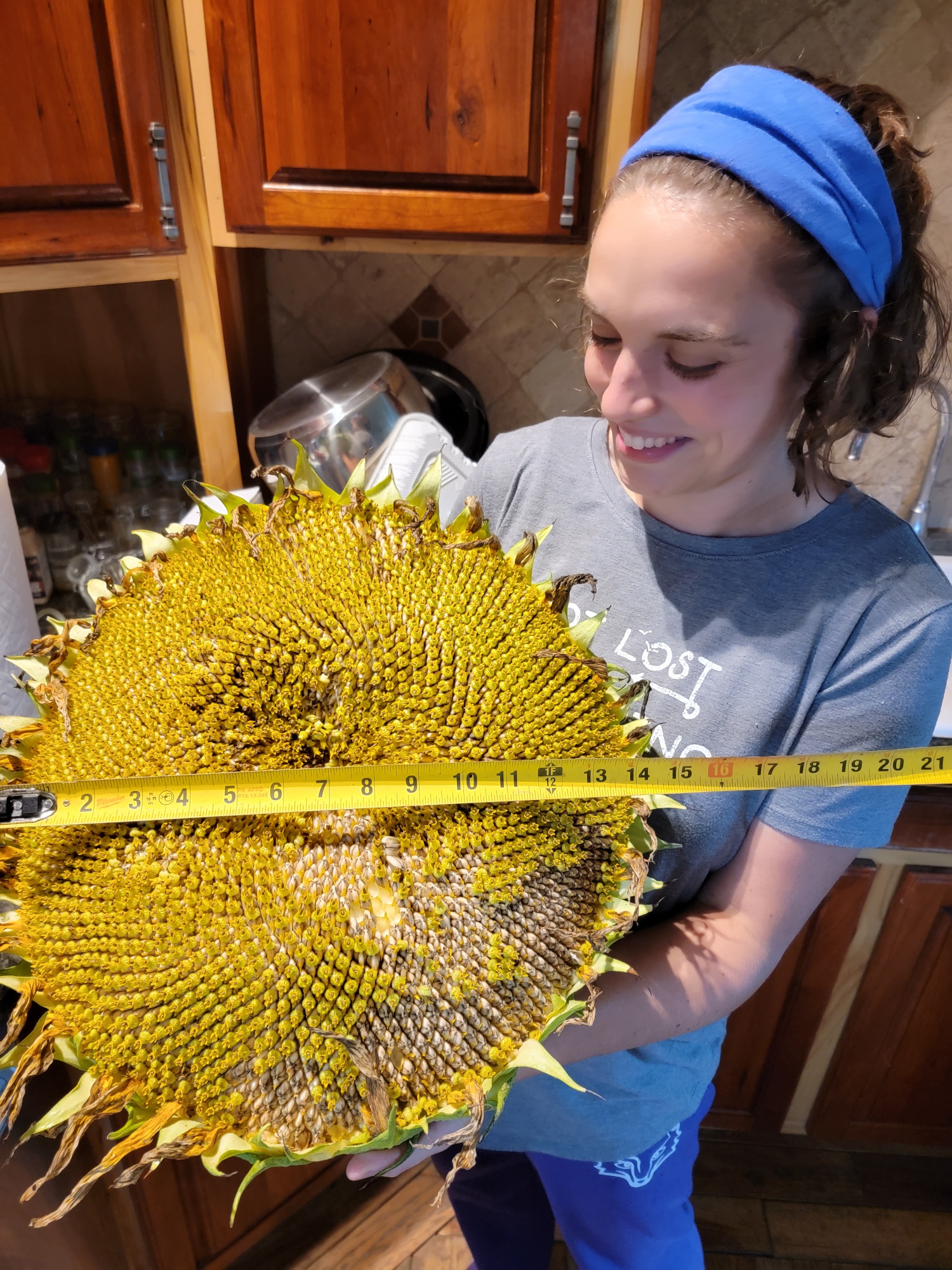 Harvested 2 of 25 gigantic sunflower heads today. This one weighed almost 7 lbs! r/homestead