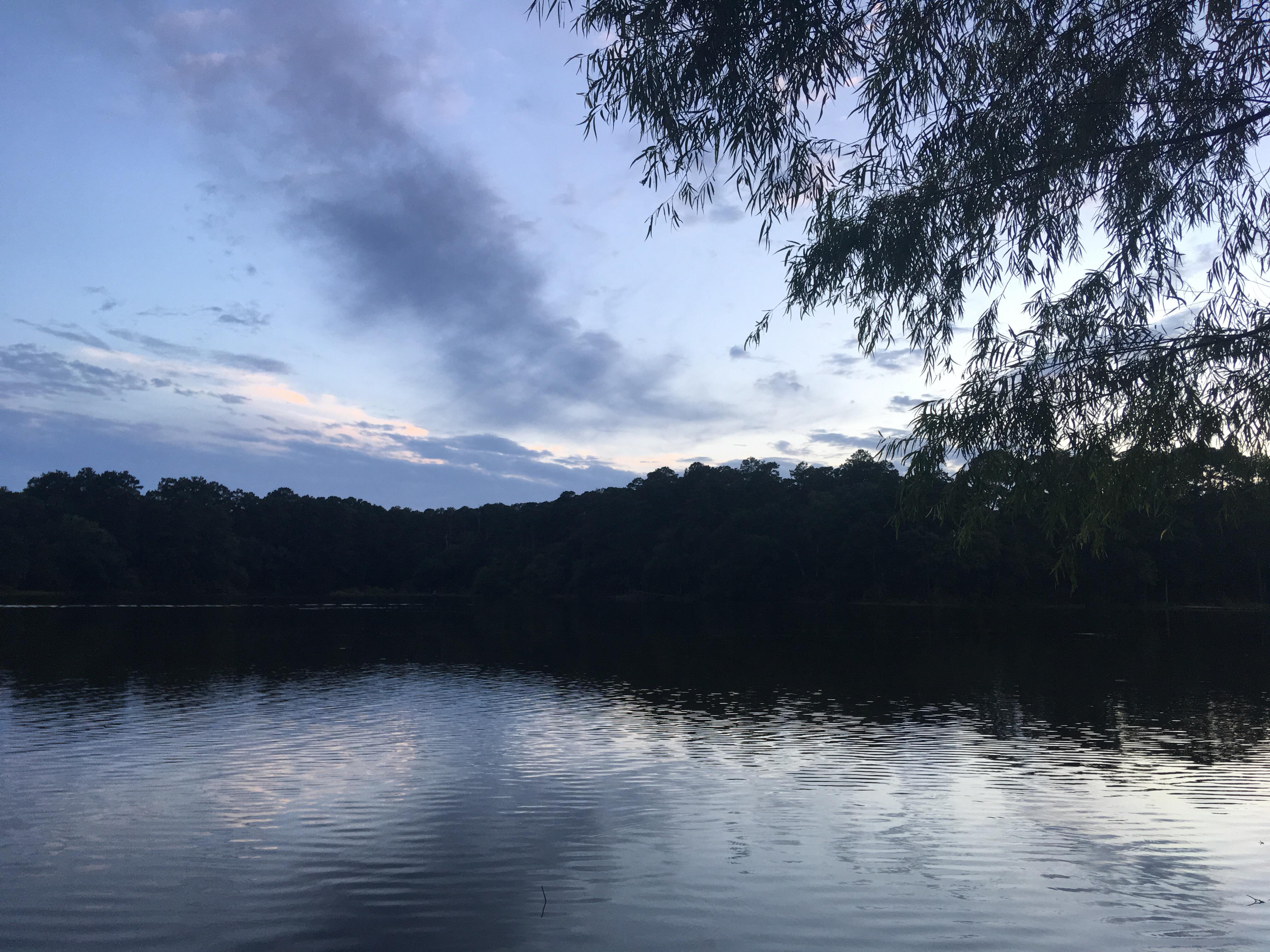 Huntsville State Park near the lake at our shelter. Such a serene