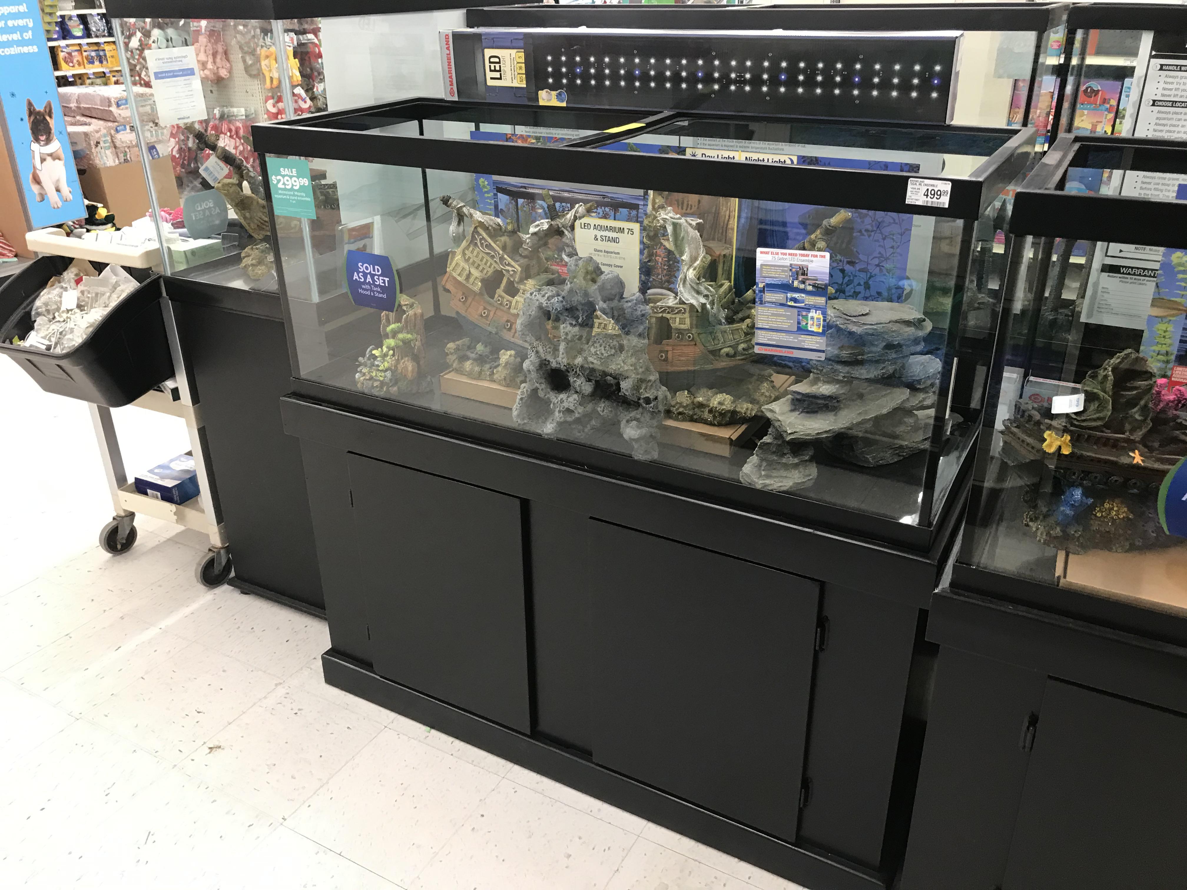 New tank! r/Goldfish