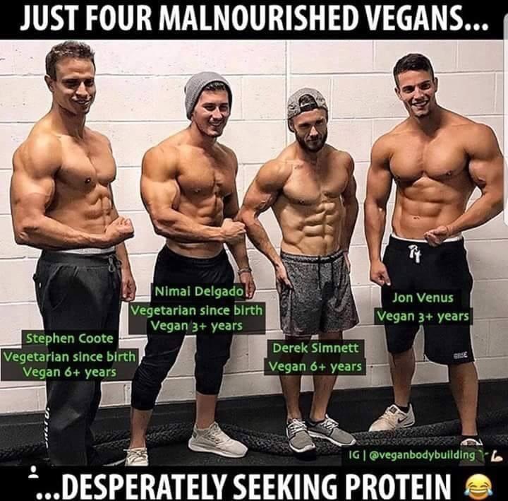 Non vegans...’but protein you can’t get enough protein’ yeah tell these vegan hunks that