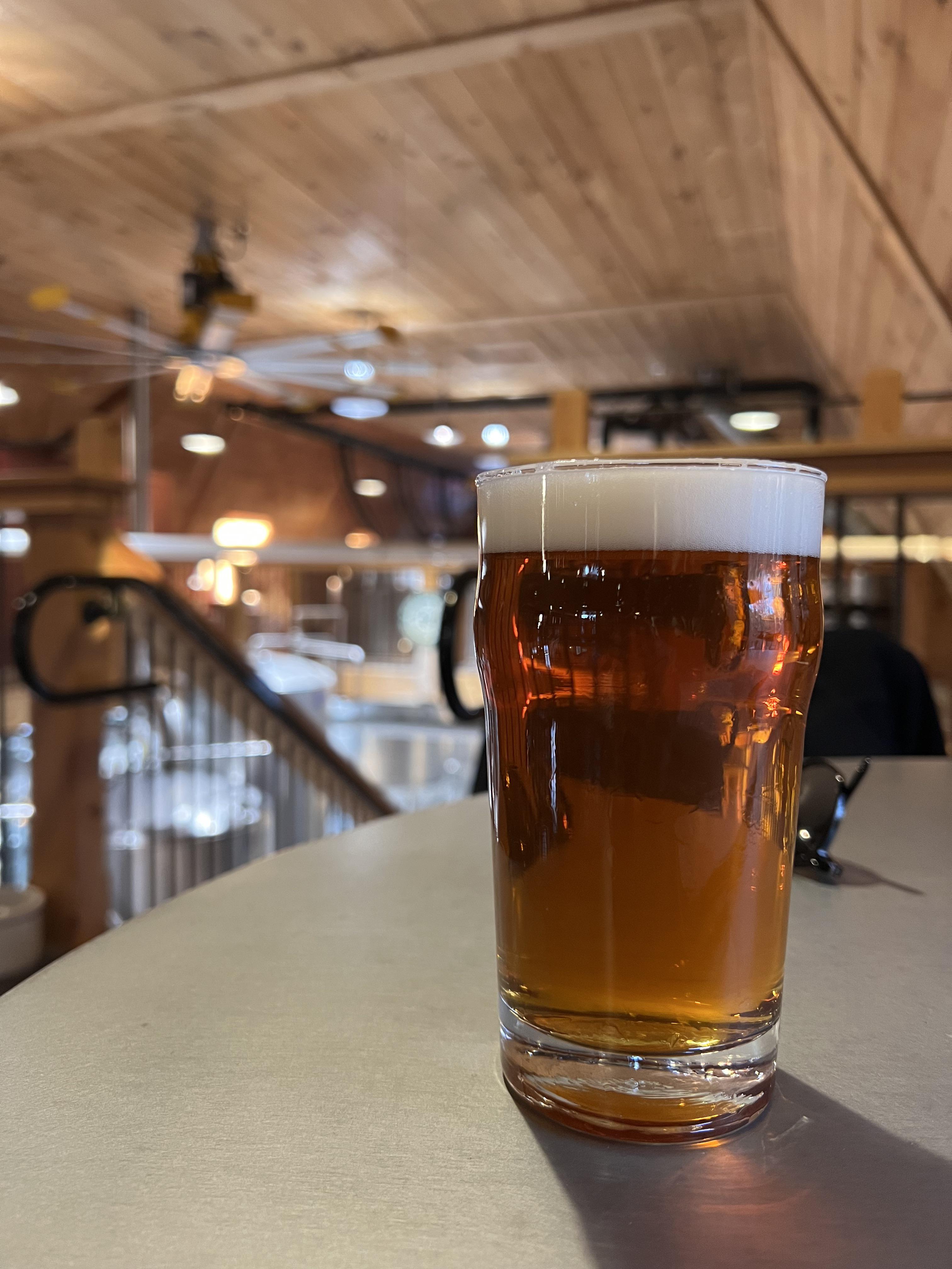 Welly English Best Bitter from Fox Farm at the brewery in Connecticut