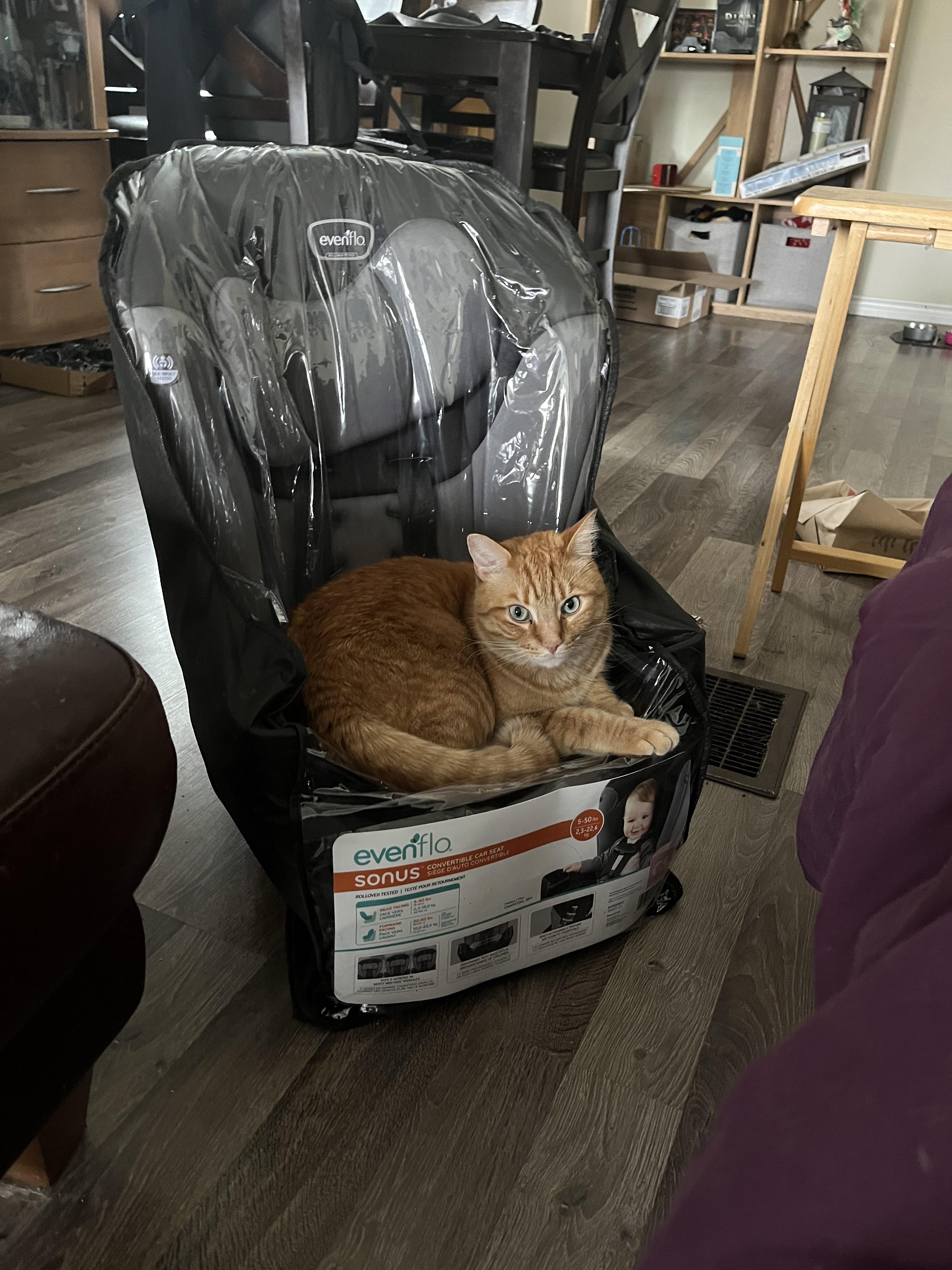 Best bed ever r/OneOrangeBraincell