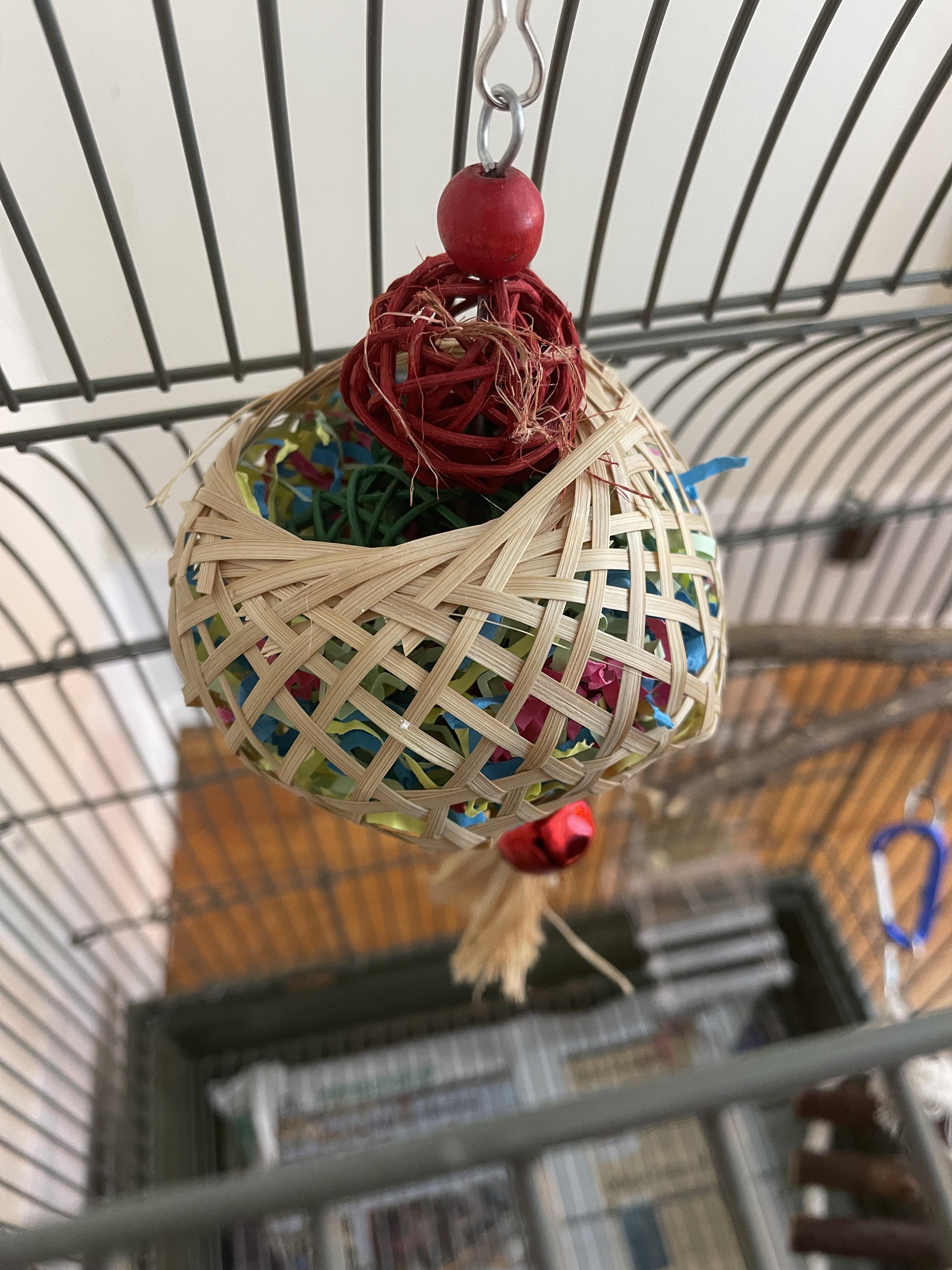 I bought this bird toy on amazon for my budgie and he’s tearing apart