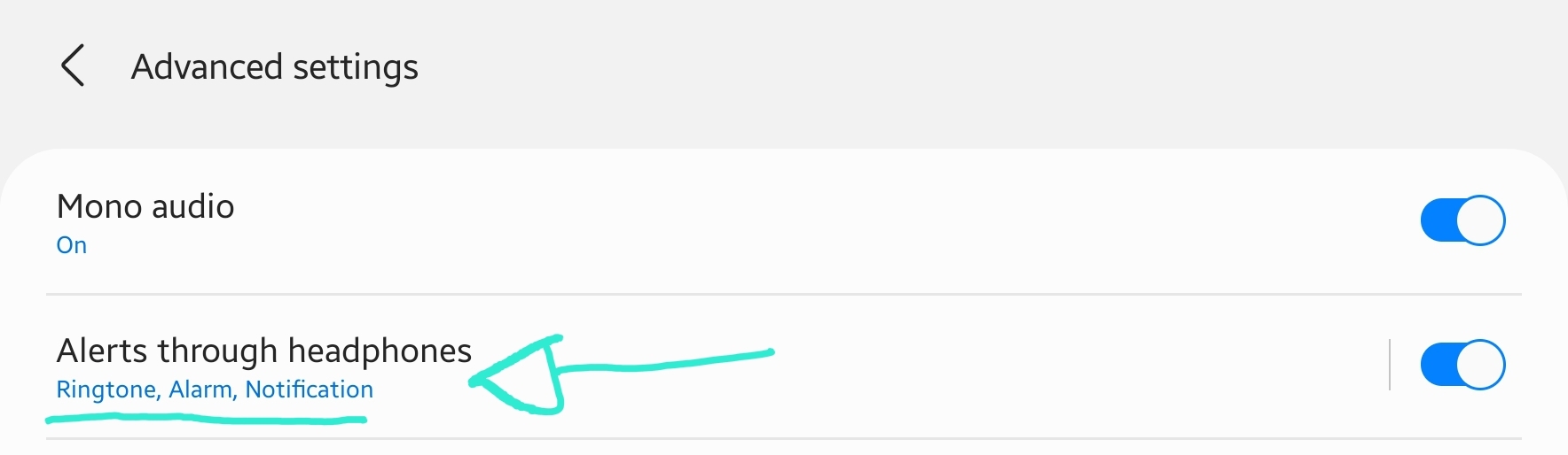 On good locks sound assistant, will this mean alerts for alarms and