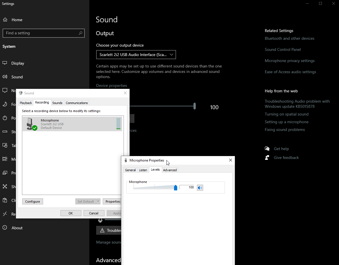 CounterStrike Global Offensive maxing microphone volume on launch