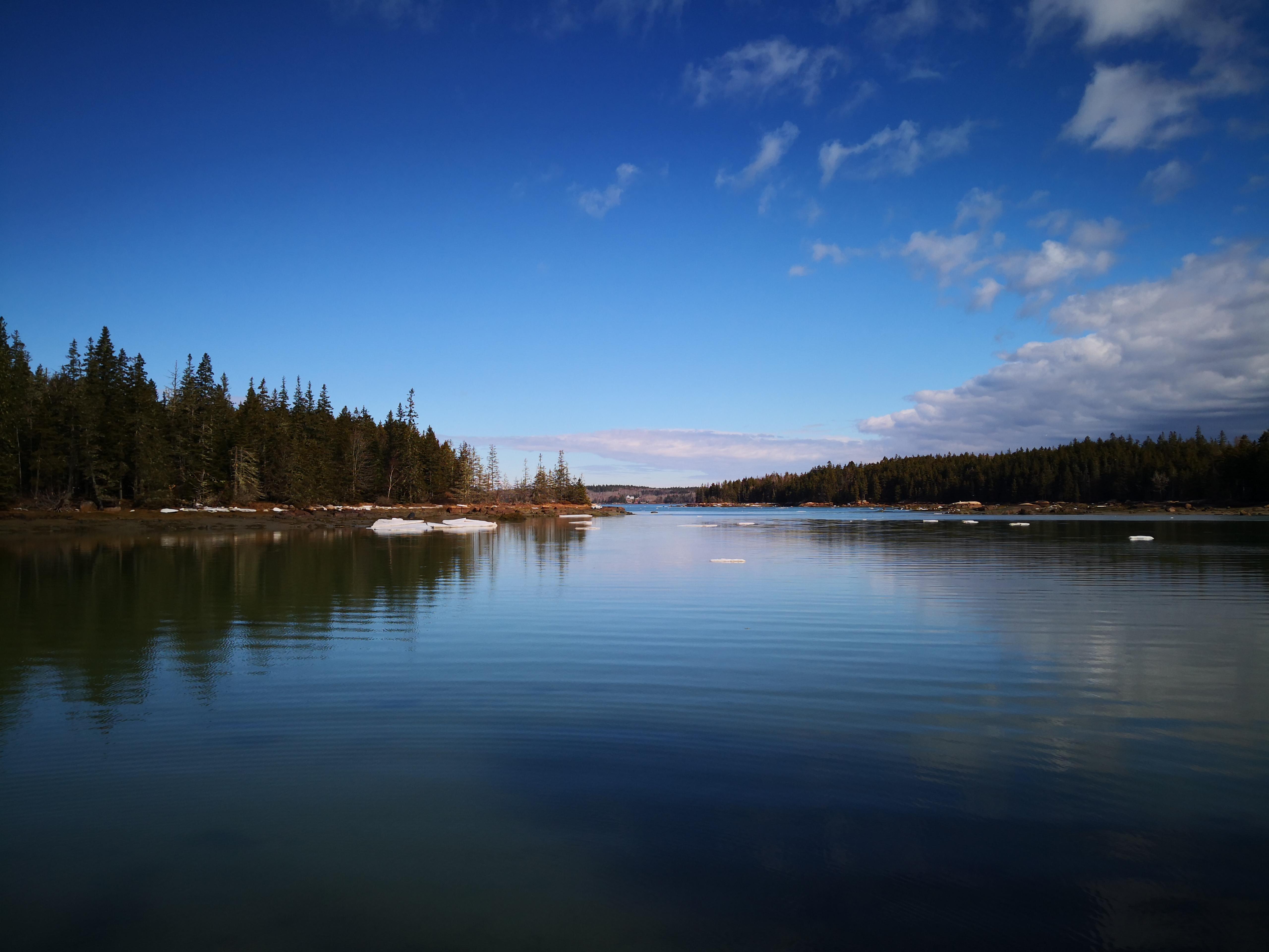 Best picture of the trip! Deer Isle Maine, USA r/hiking