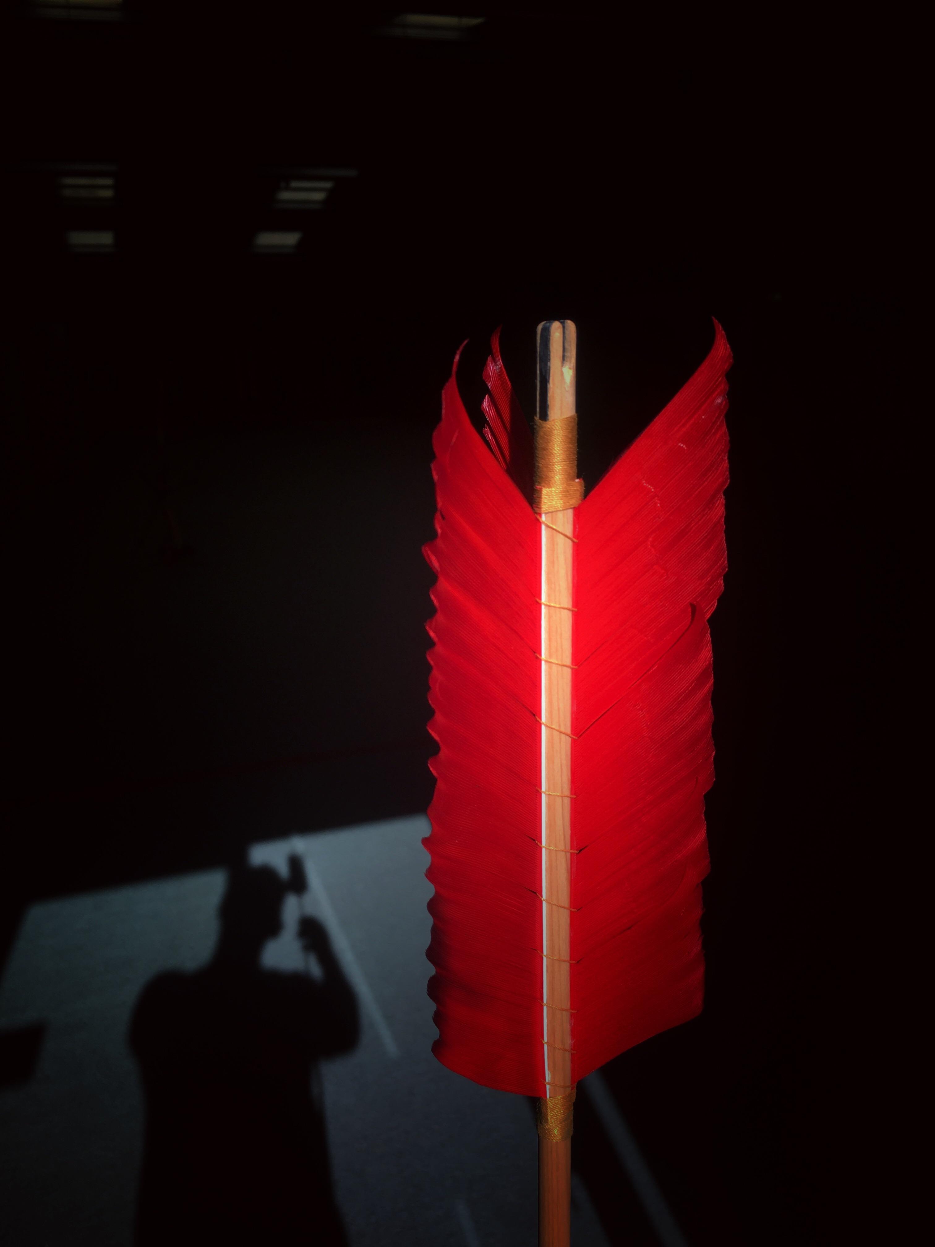 My first attempt at making trad arrows (FluFlu) r/Archery