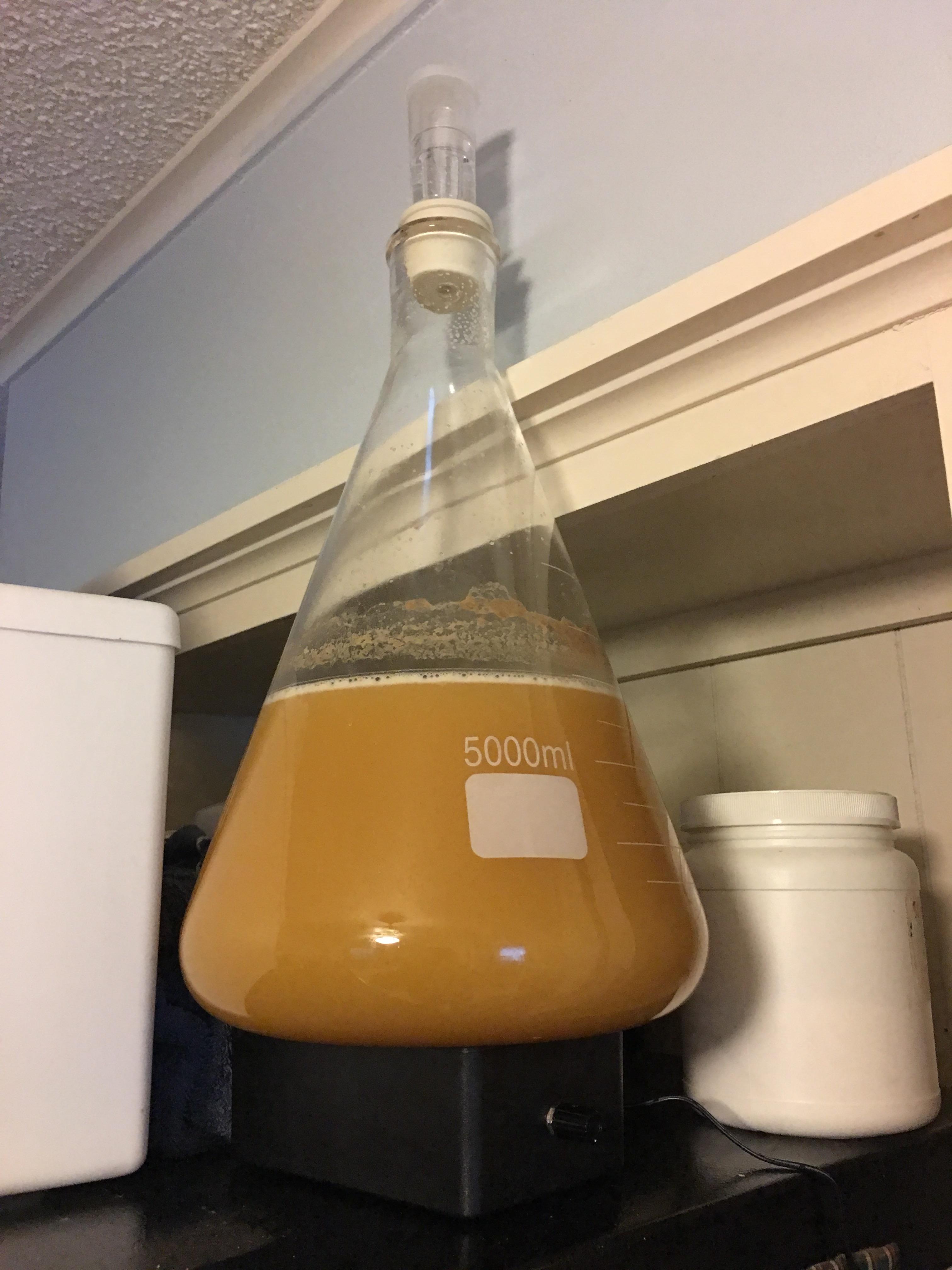 Oh yeah. In the flask and spinner is spinning. r/mead
