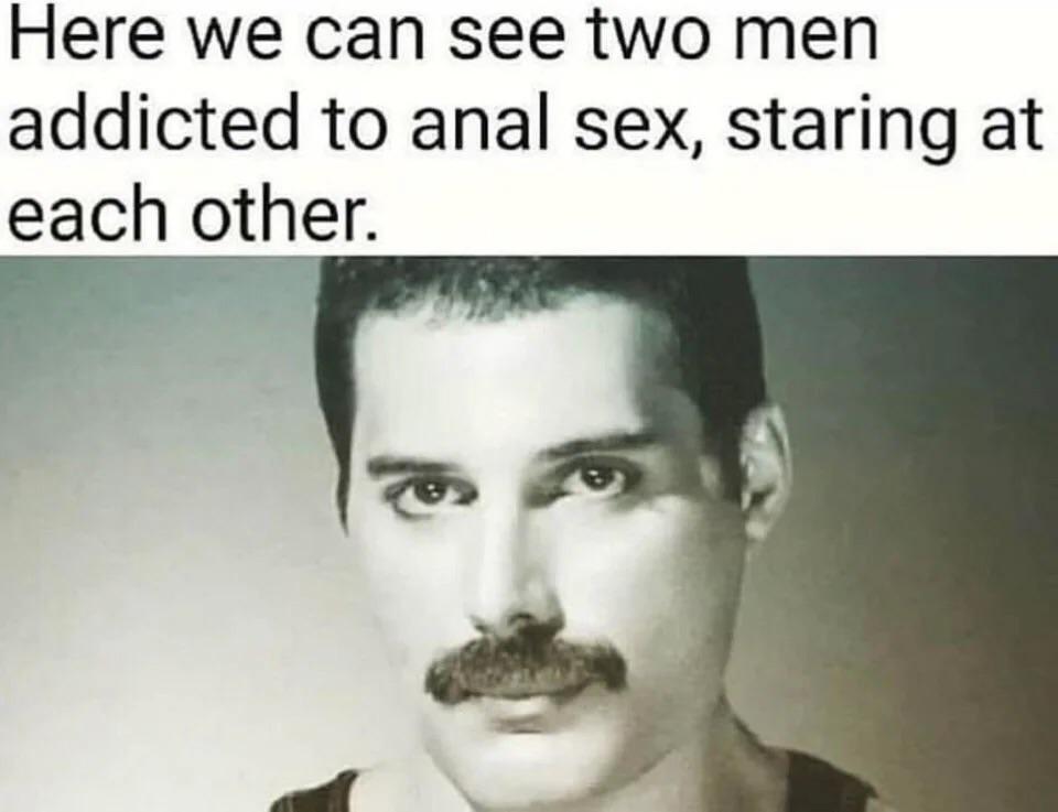 What’s is the funniest thing you’ve seen on Reddit? r/AskReddit