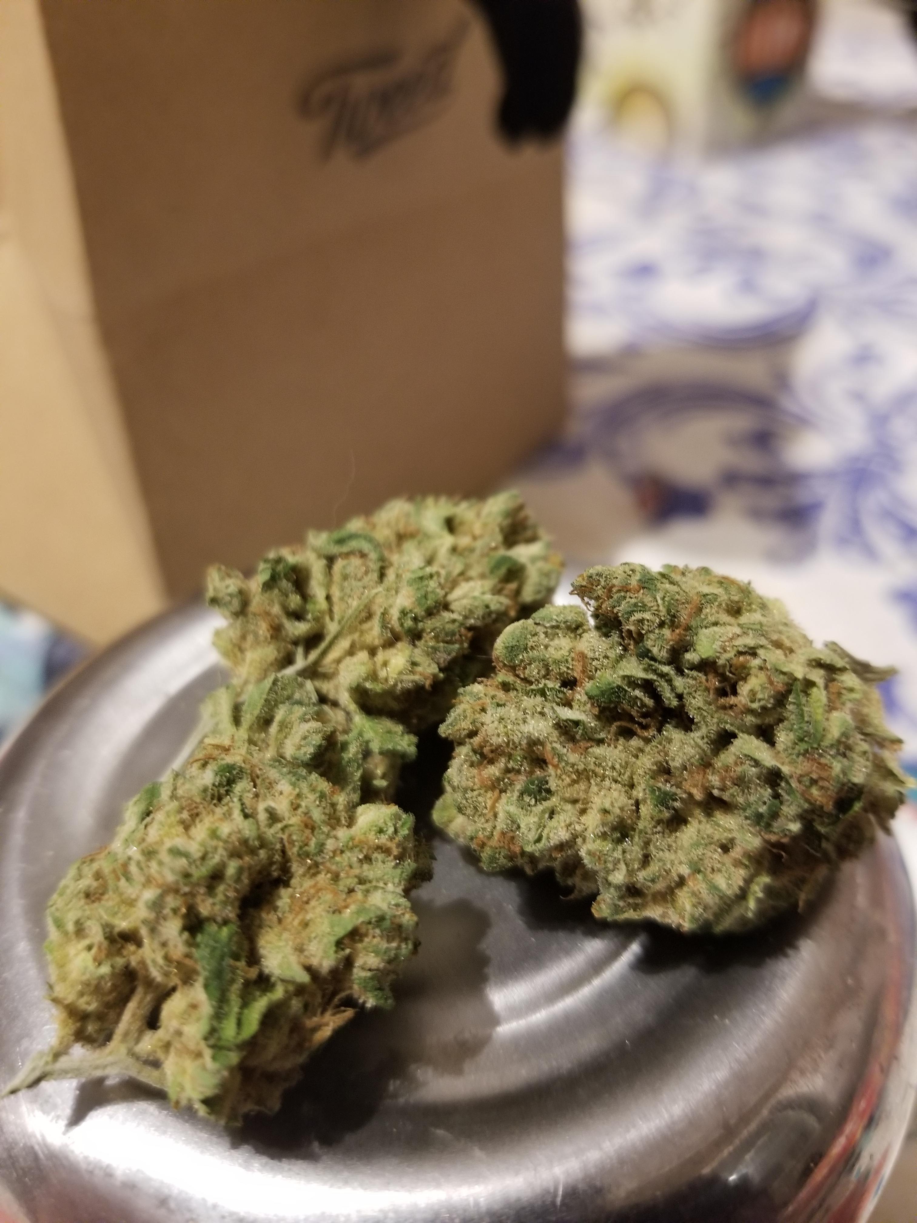 Ghost Train Haze by Color Cannabis 17.29 TheOCS