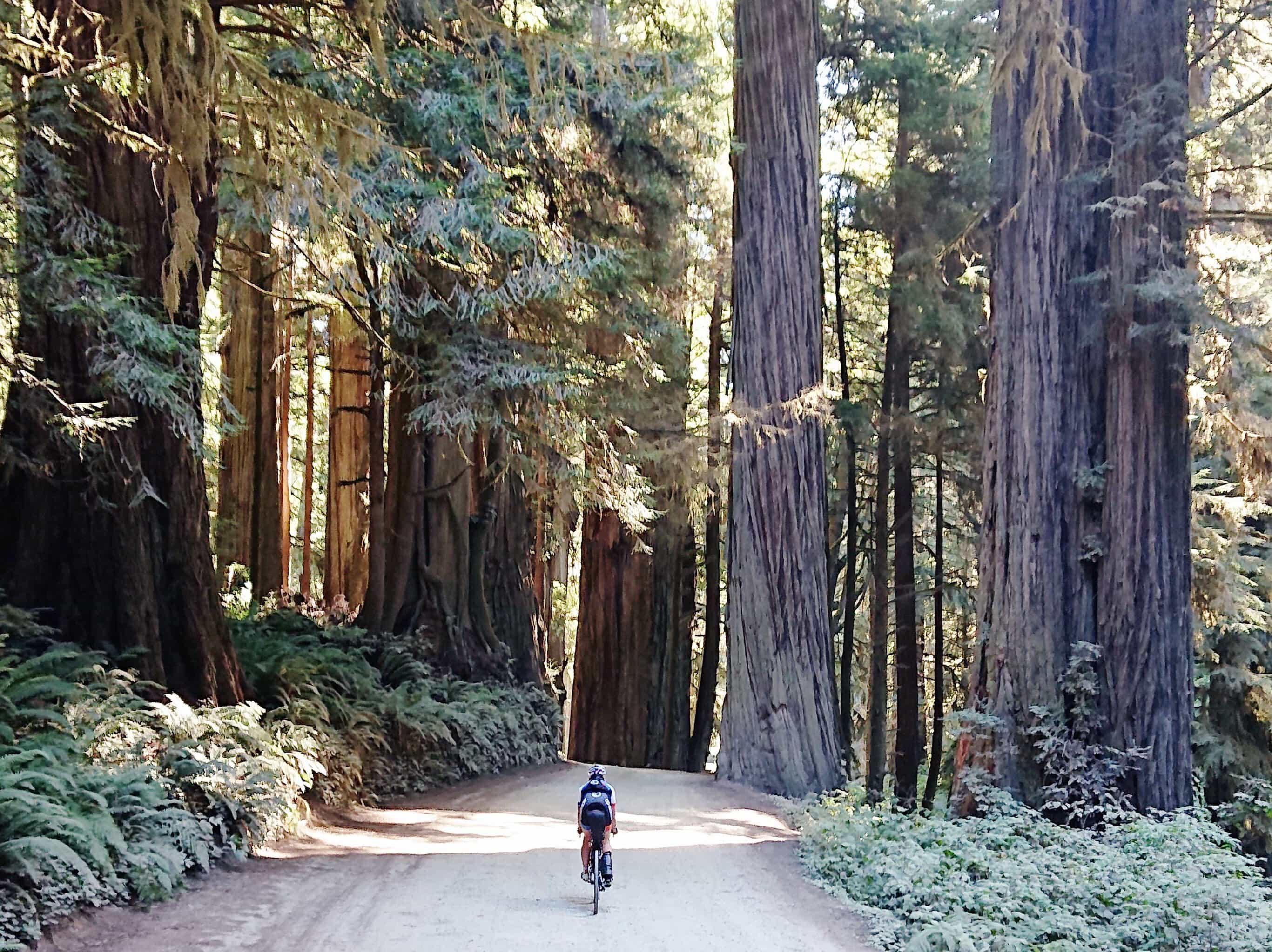 Just added a cool bike packing route to Dirty Freehub that borders