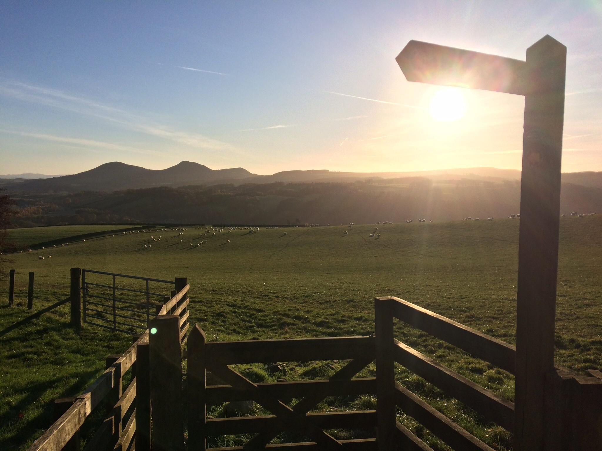Looking towards the Eildon hills, Galashiels, Scotland r/britpics