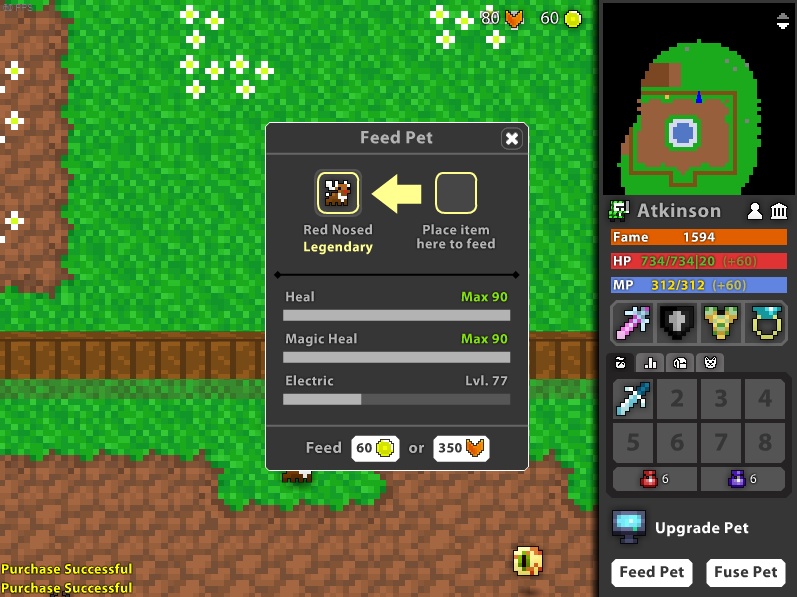 Finally got my first 90 / 90 Pet! RotMG