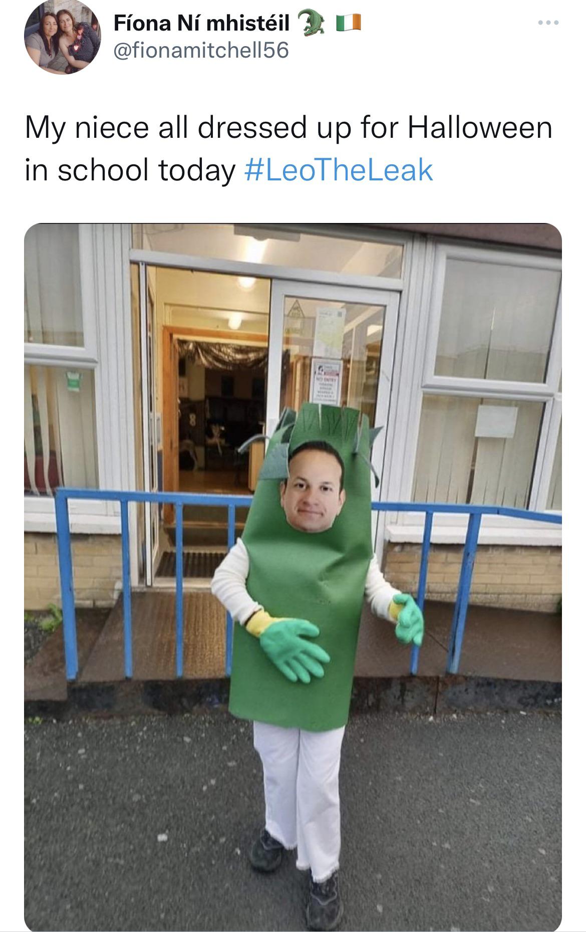 A solid Halloween 2021 costume choice r/ireland