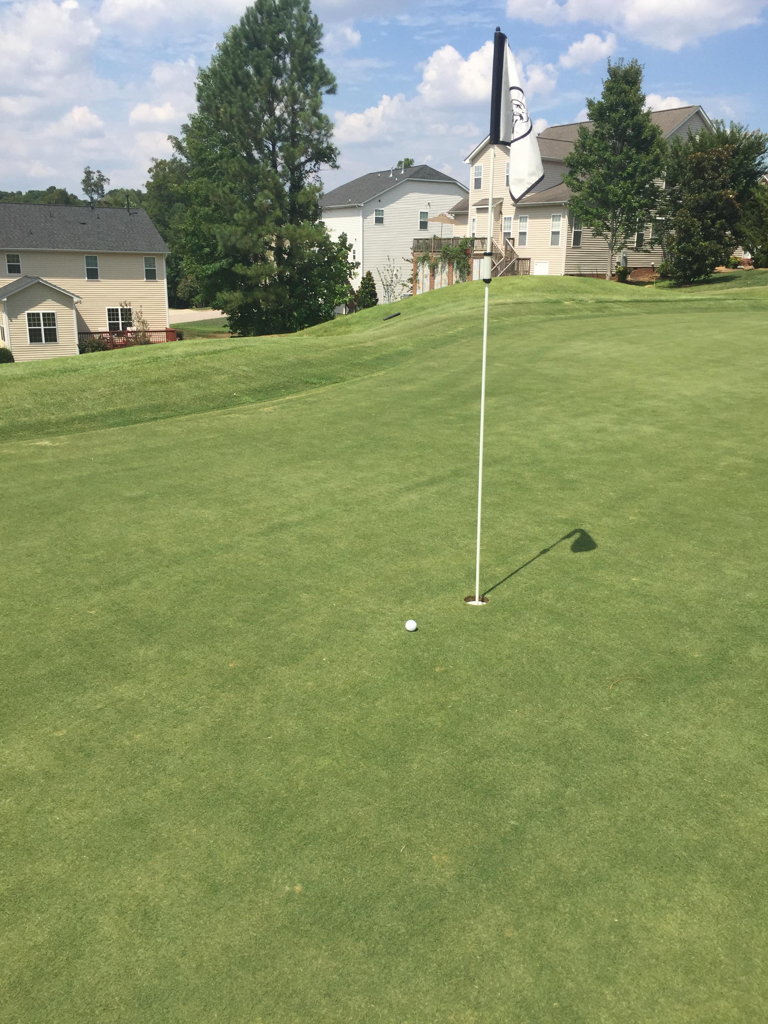 Almost my first. 13 140 yards, 8 Iron. Eagle Ridge, Raleigh NC r/golf