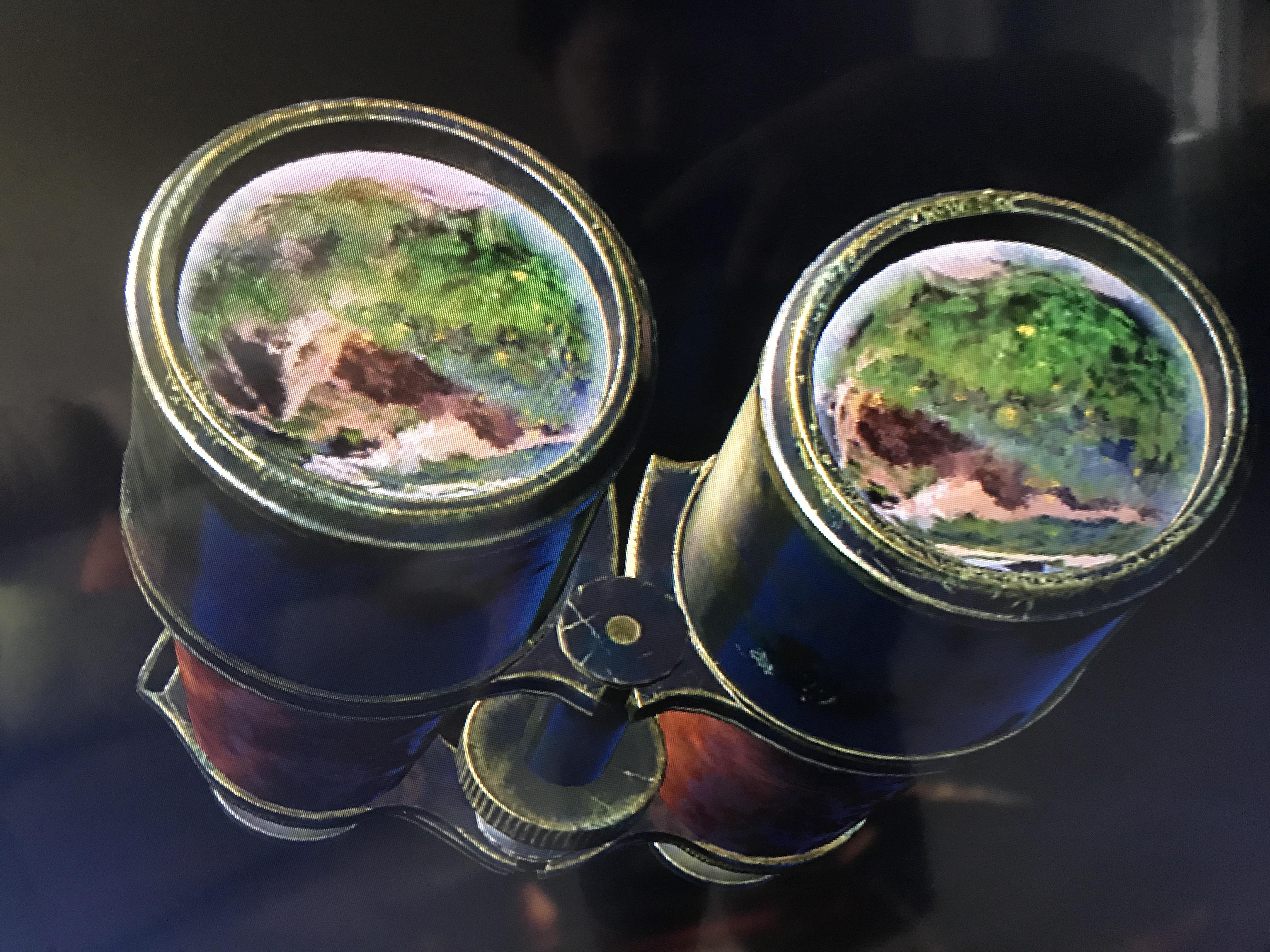 The binoculars treasure in lost legacy has a reflection, anyone know