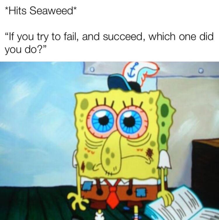 * Blank Stare * r/memes