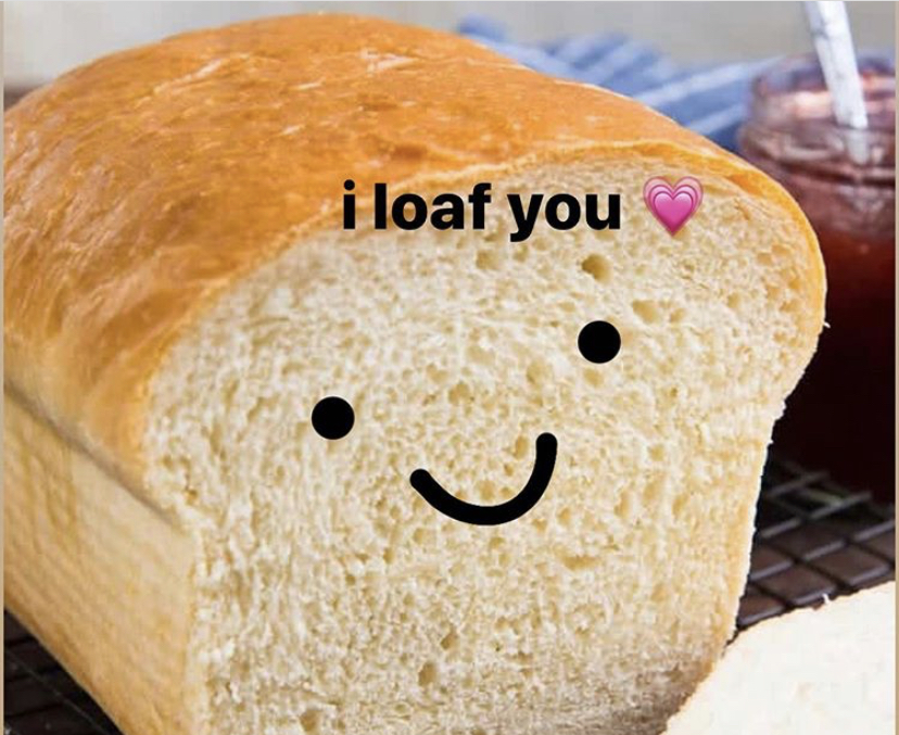 Eek. Your my one and only loaf 3 r/wholesomememes