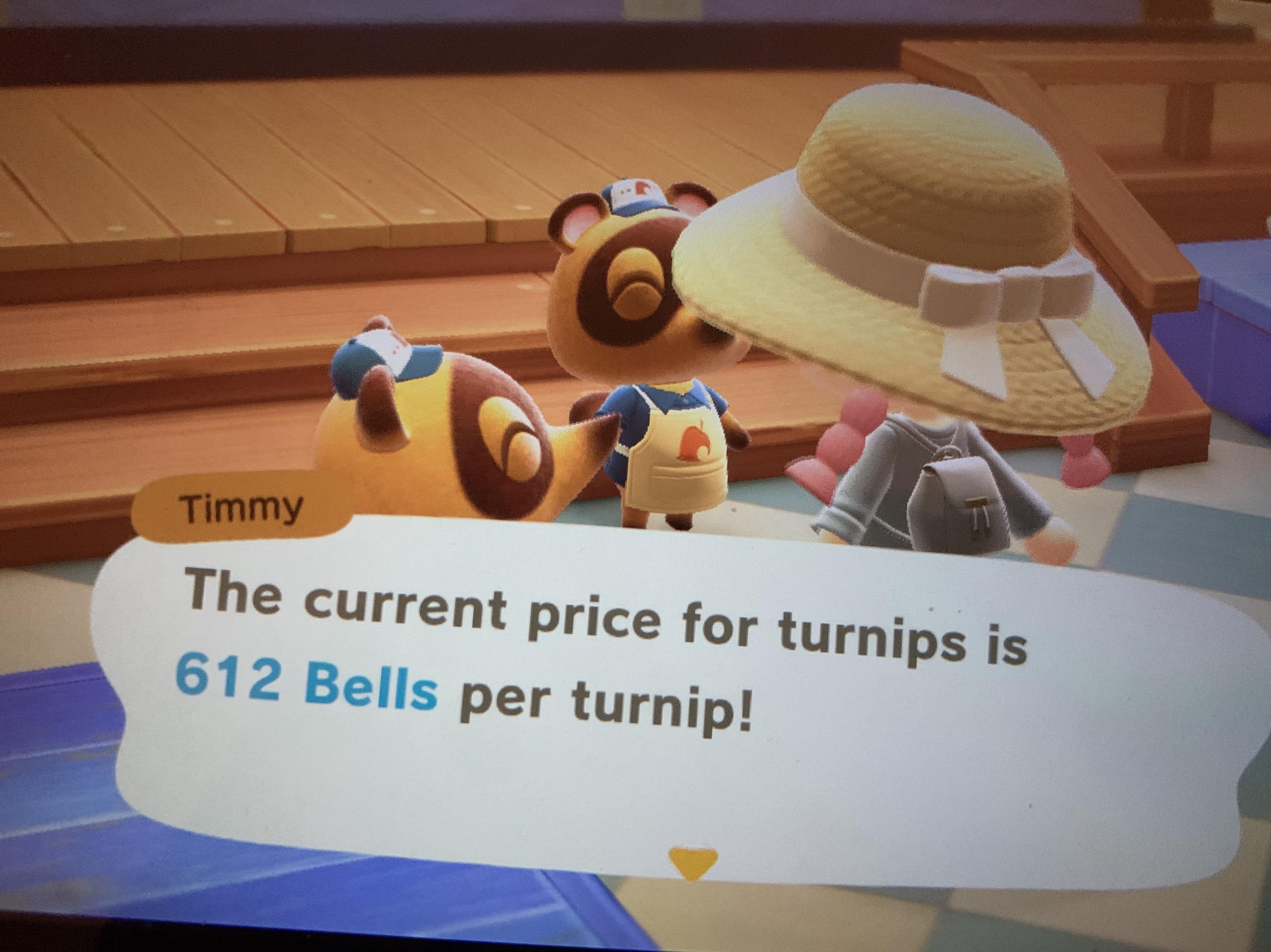 First time ever! Turnip price might change so hurry while it lasts! r/NoFeeAC
