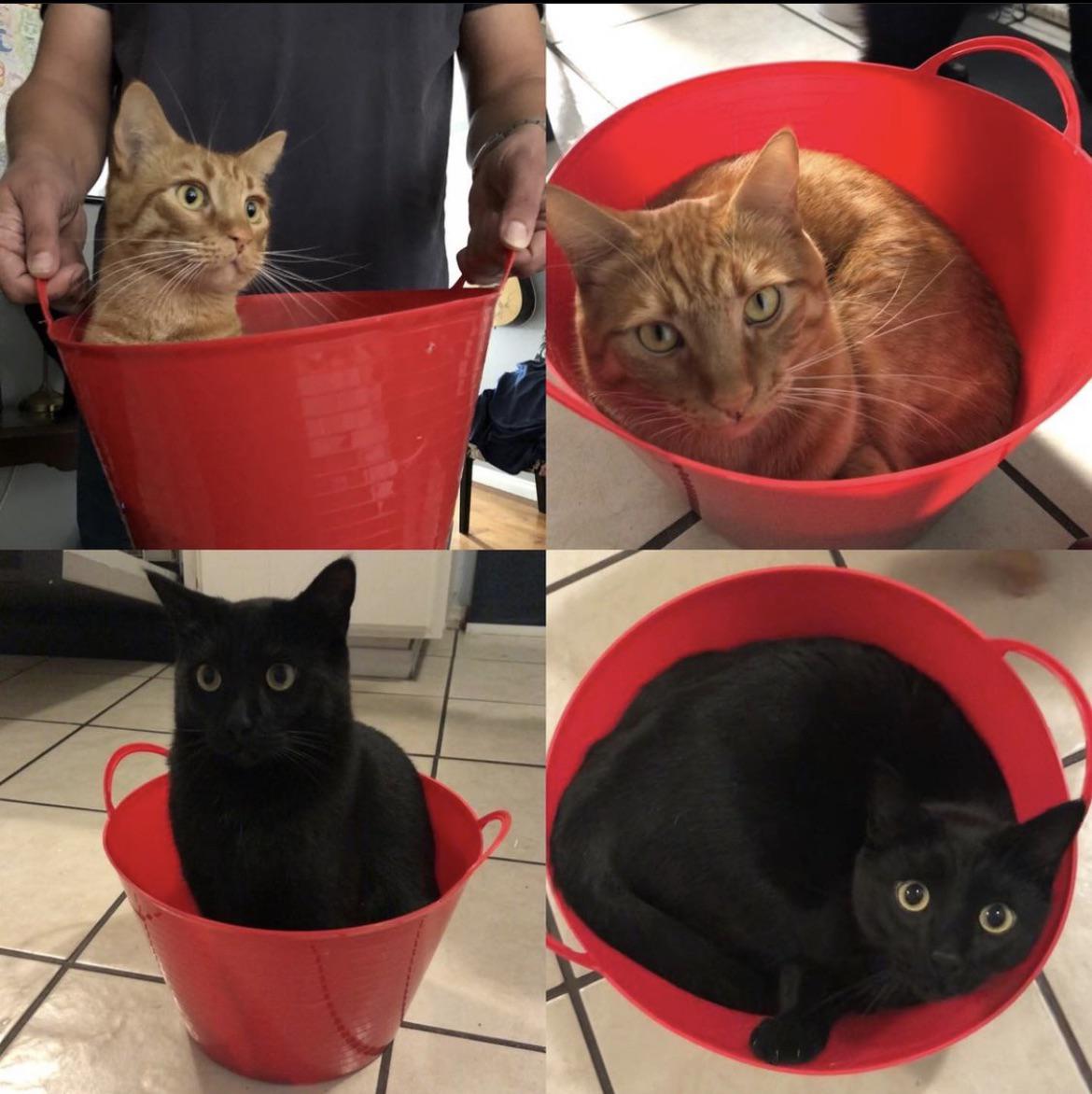 When I got this from the dollar store I thought it was just a bucket