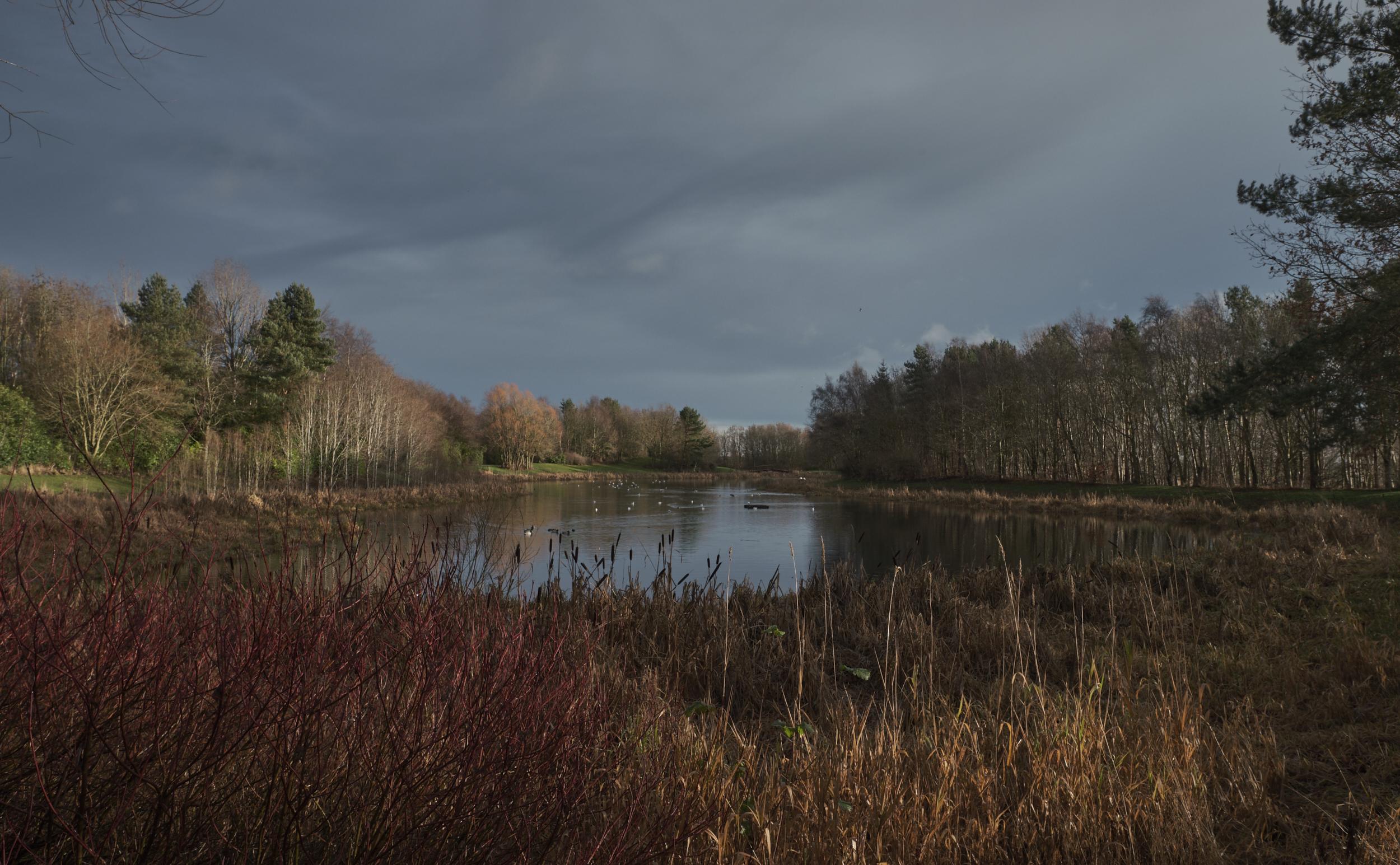 Stenton Pond, Glenrothes, Scotland. [OC][2500X1545] EarthPorn