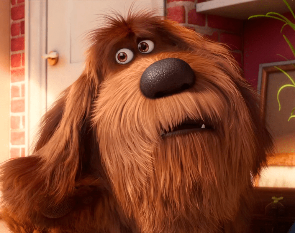 What breed of dog is Duke from the movie the Secret Life of Pets? I
