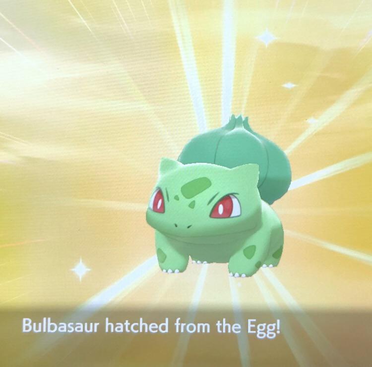 [Gen 8] I’ve been hatching thousands of Masuda Bulbasaur eggs since ORAS... Today I finally got